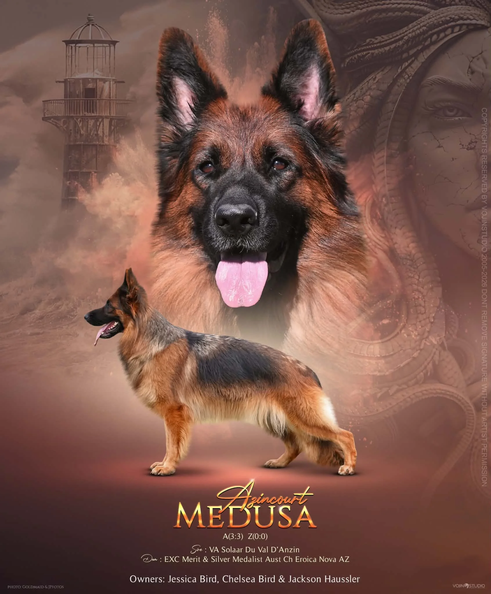 *Azincourt Medusa ‘A’ ‘Z’