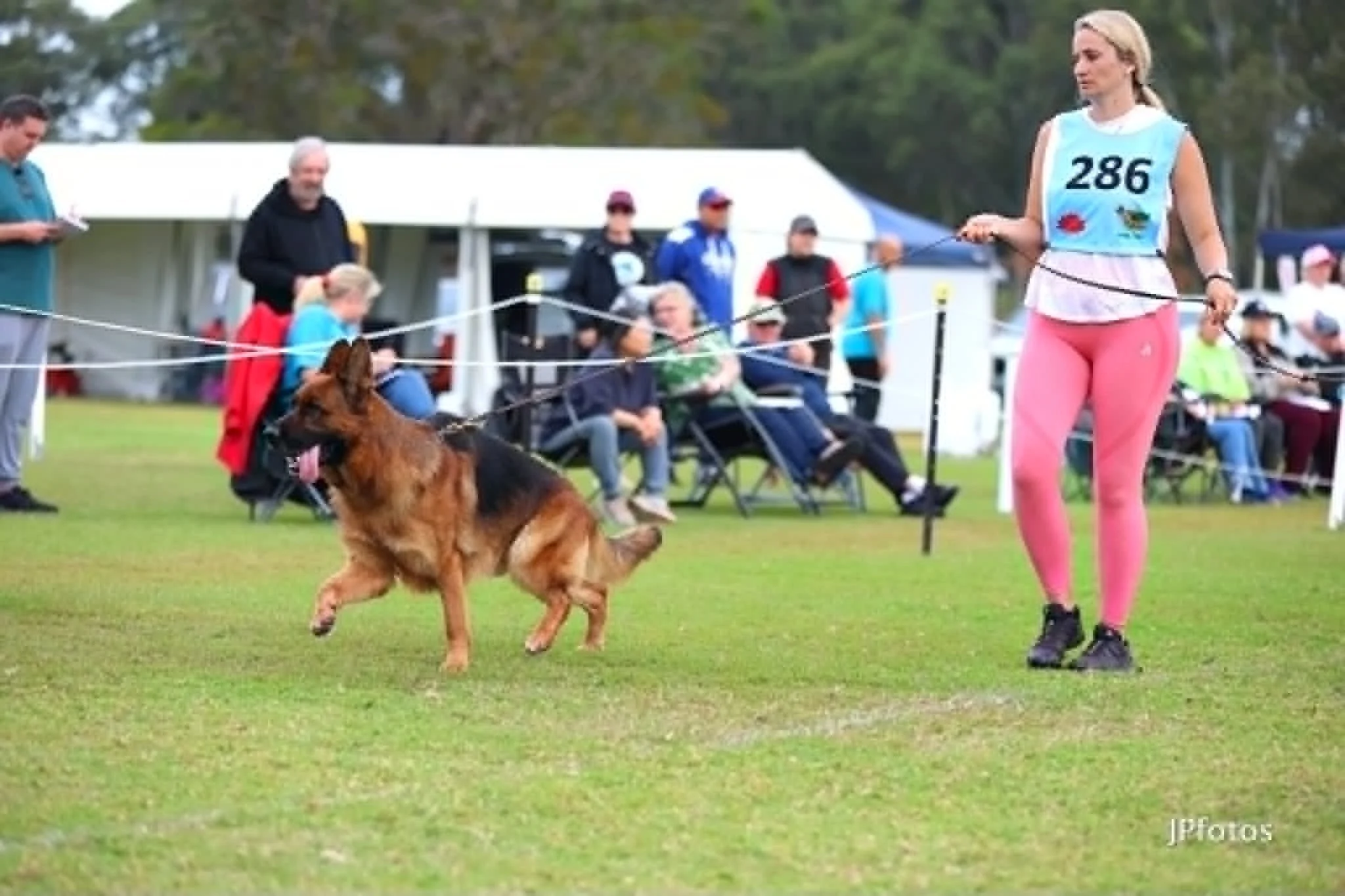 GSDCA National Show &amp; Trial 2026 - Sydney