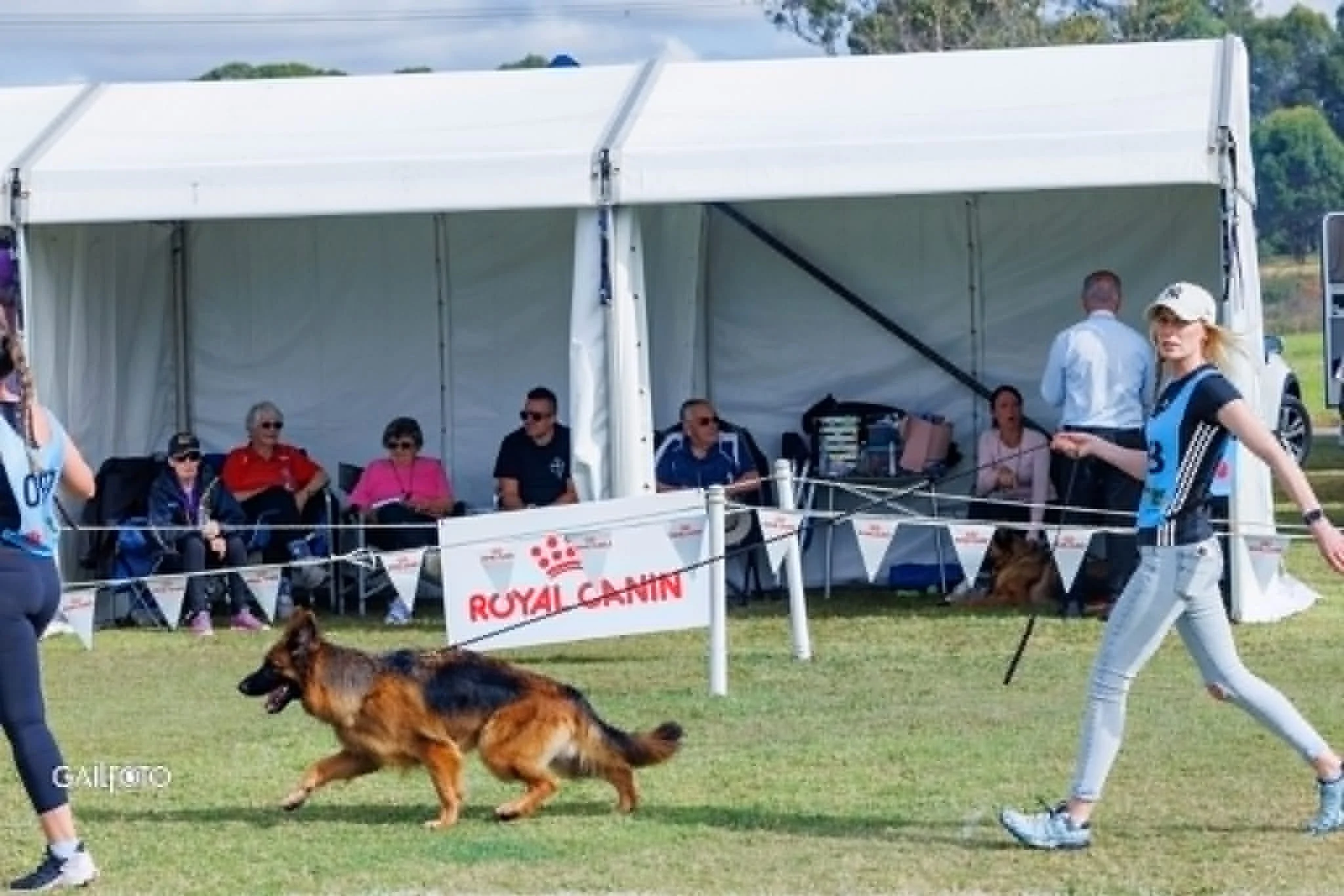GSDCA National Show &amp; Trial 2026 - Sydney