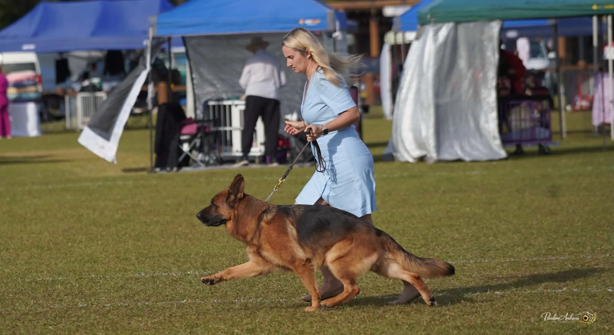 Coffs Harbour &amp; Clarence Championship shows