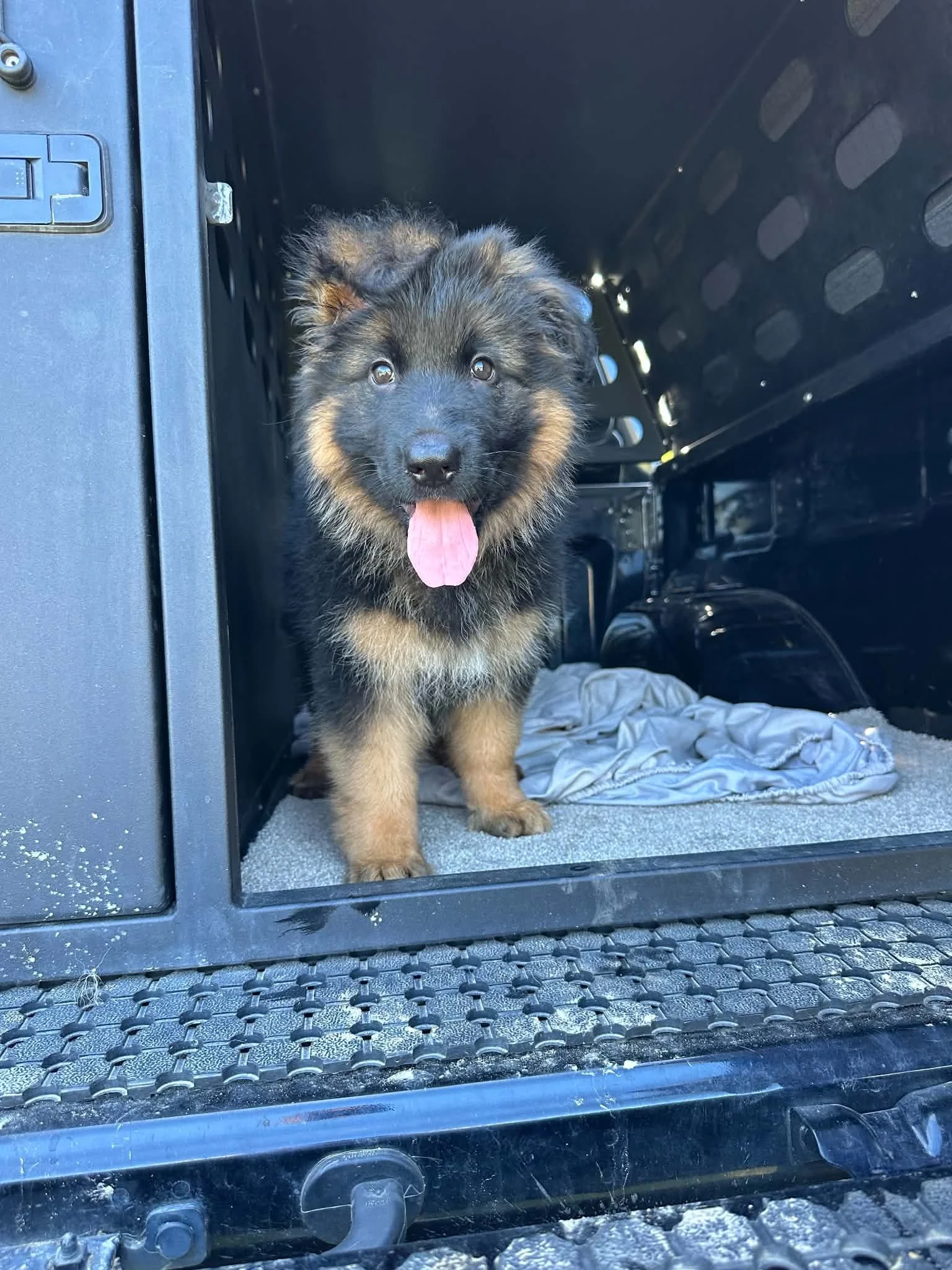 Introducing Lagerfeldt Von Der Nirvana