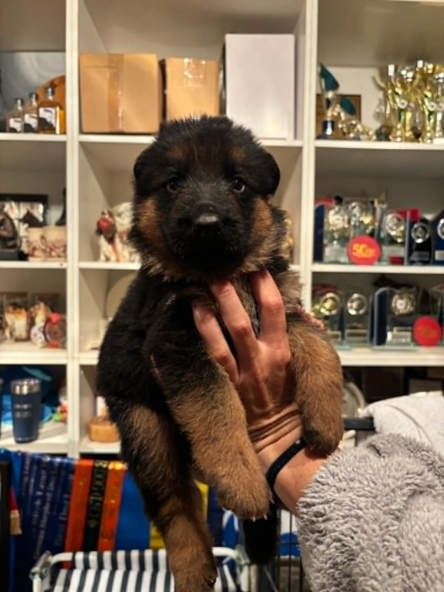 Blue boy approaching four weeks