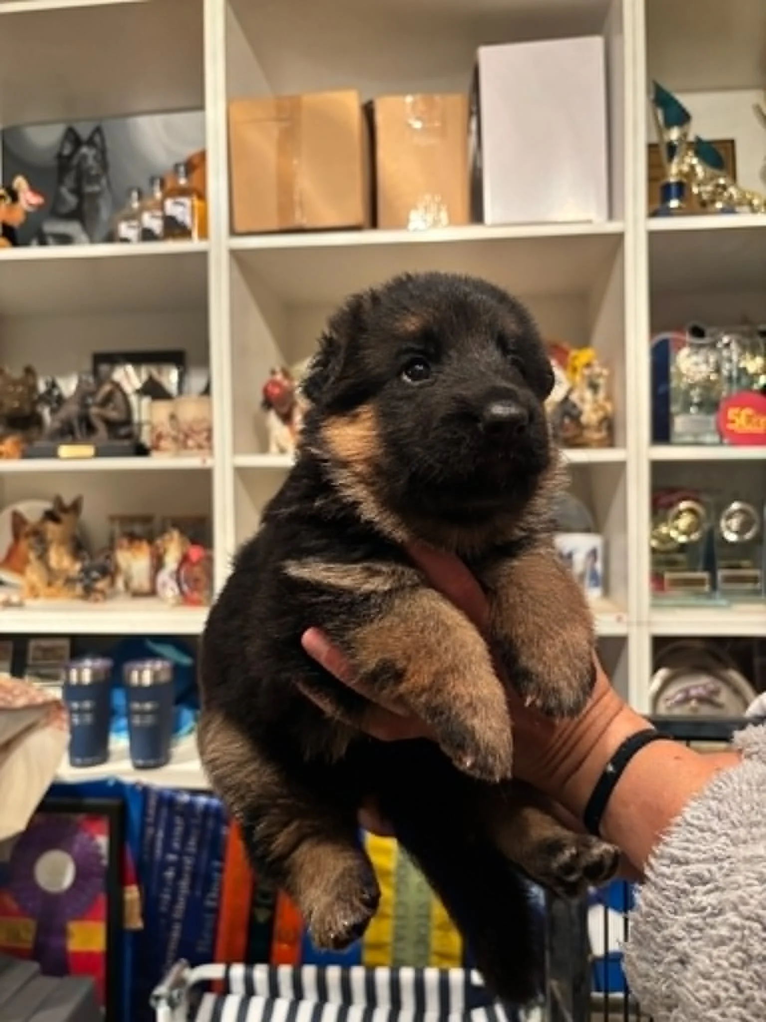 Green girl approaching four weeks