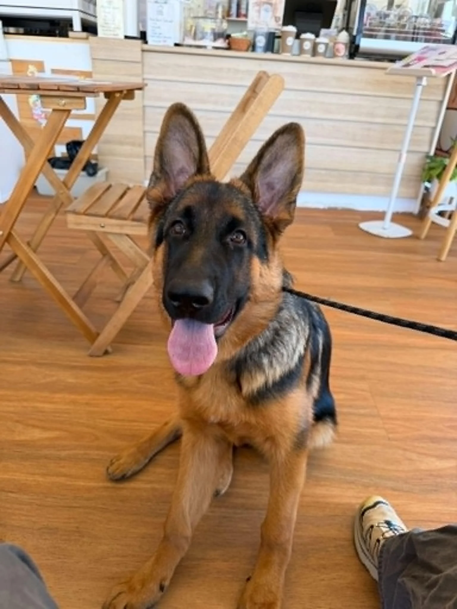 Beau at 5 months old - coffee date with dad in Queensland