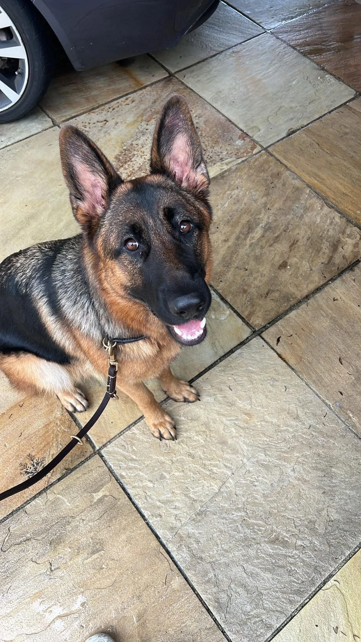 Zoe on her first birthday