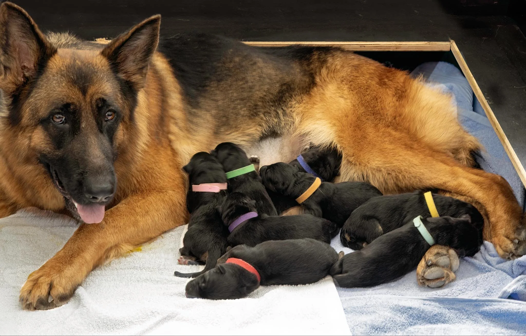 Five girls and three boys