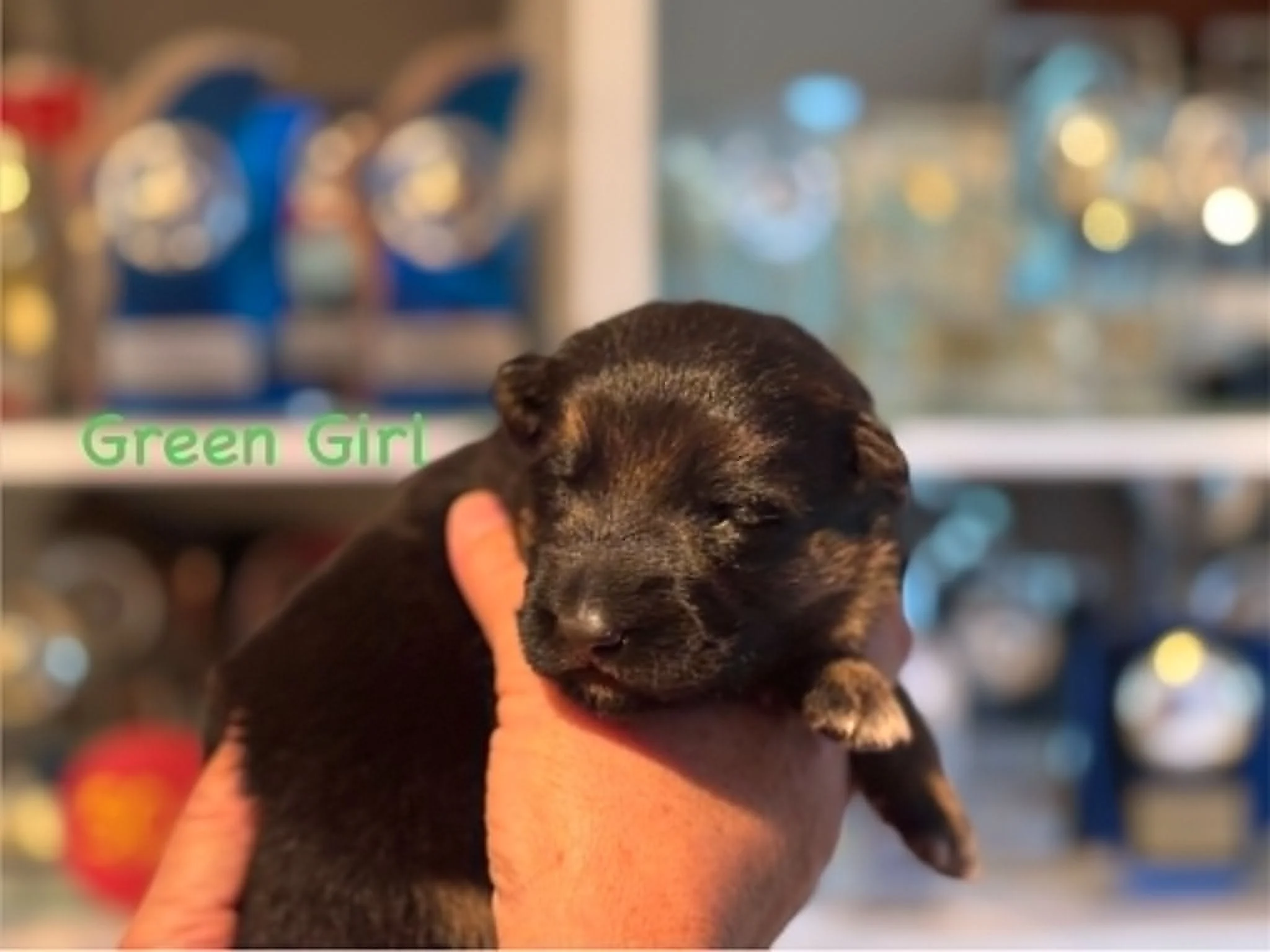 Green girl at one week