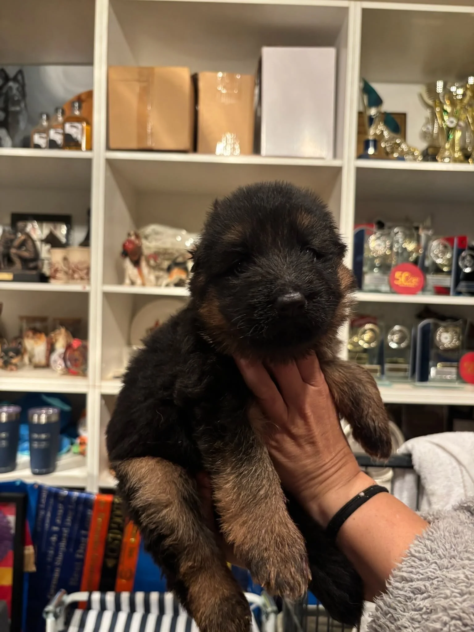 Pink girl approaching four weeks