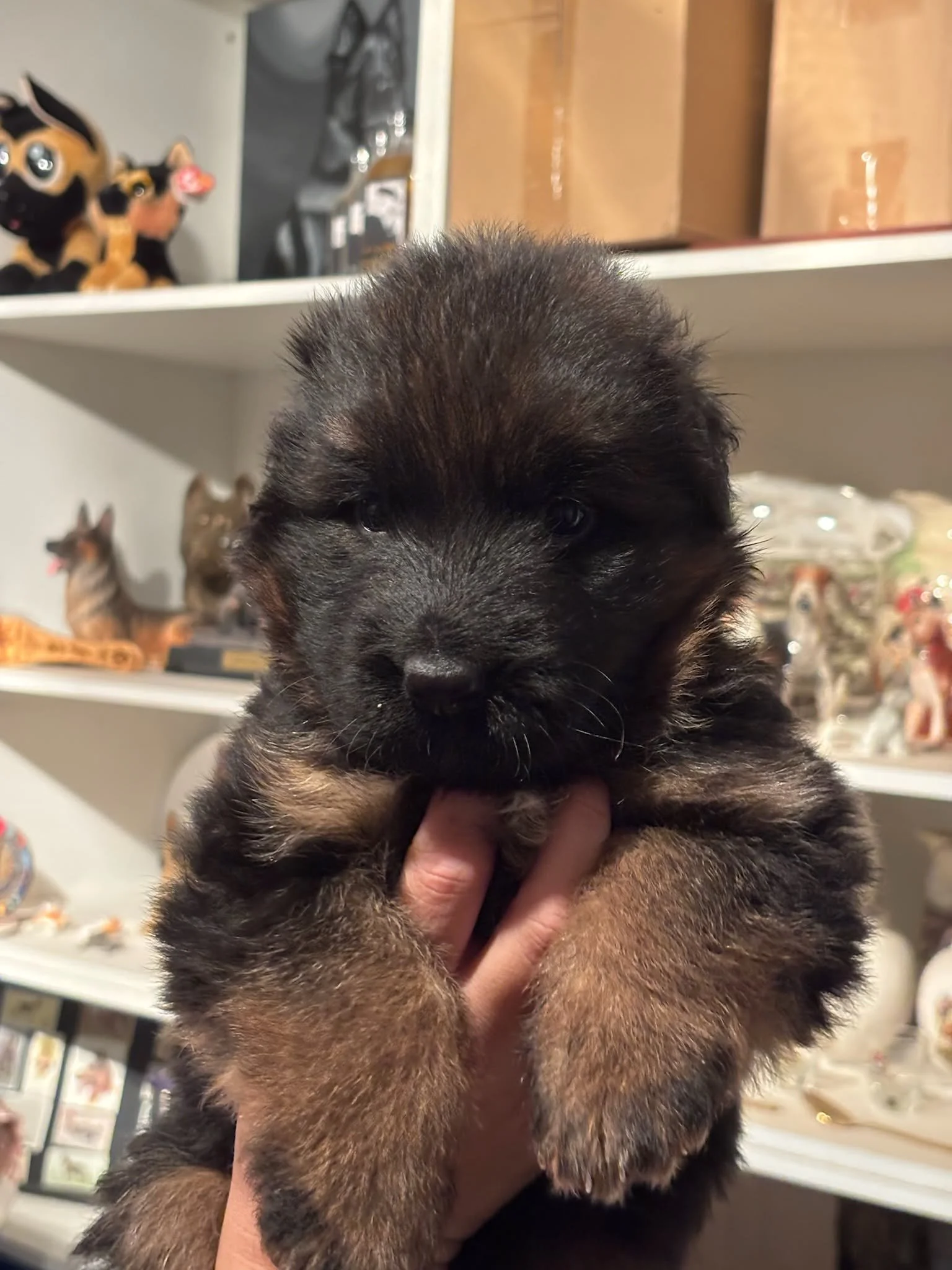 Purple girl at four weeks