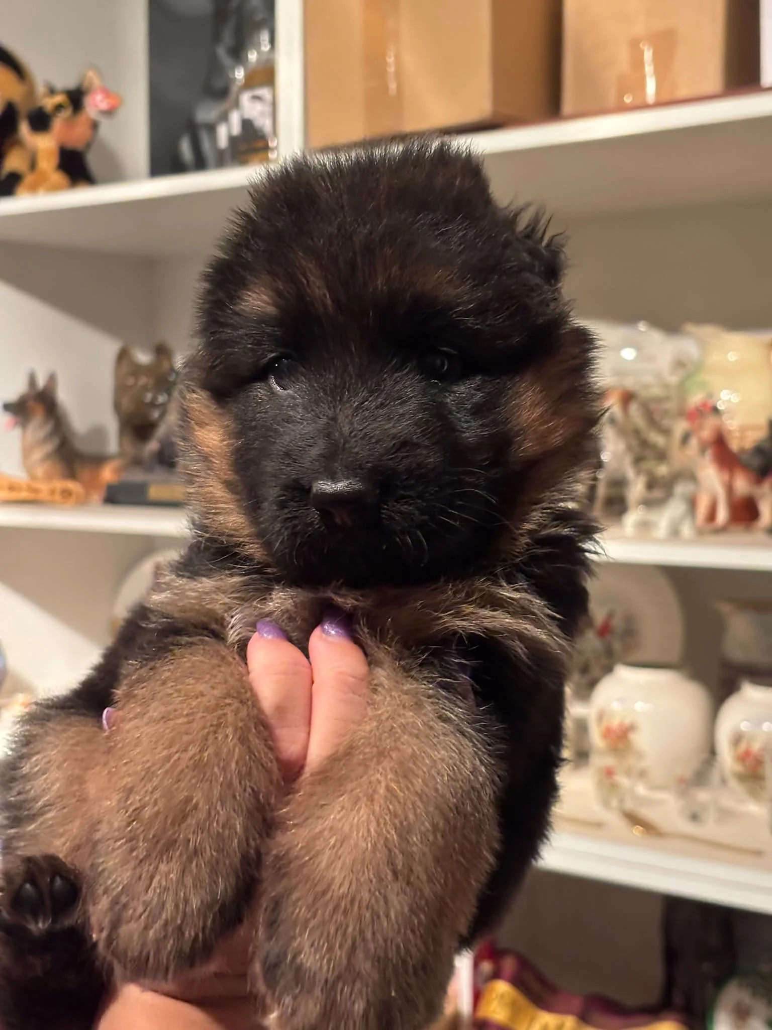 Pink girl at four weeks