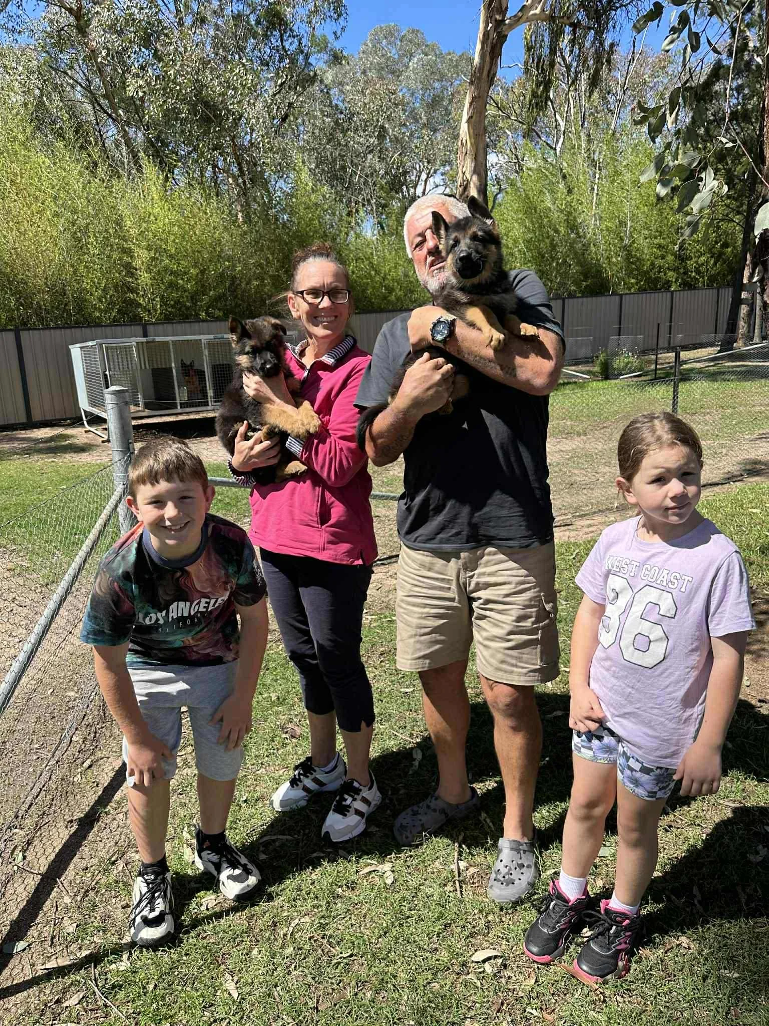 Lagerfeldt Extra Shot (grey collar boy) & Lagerfeldt Espresso (purple collar girl) ready for their trip to Queensland