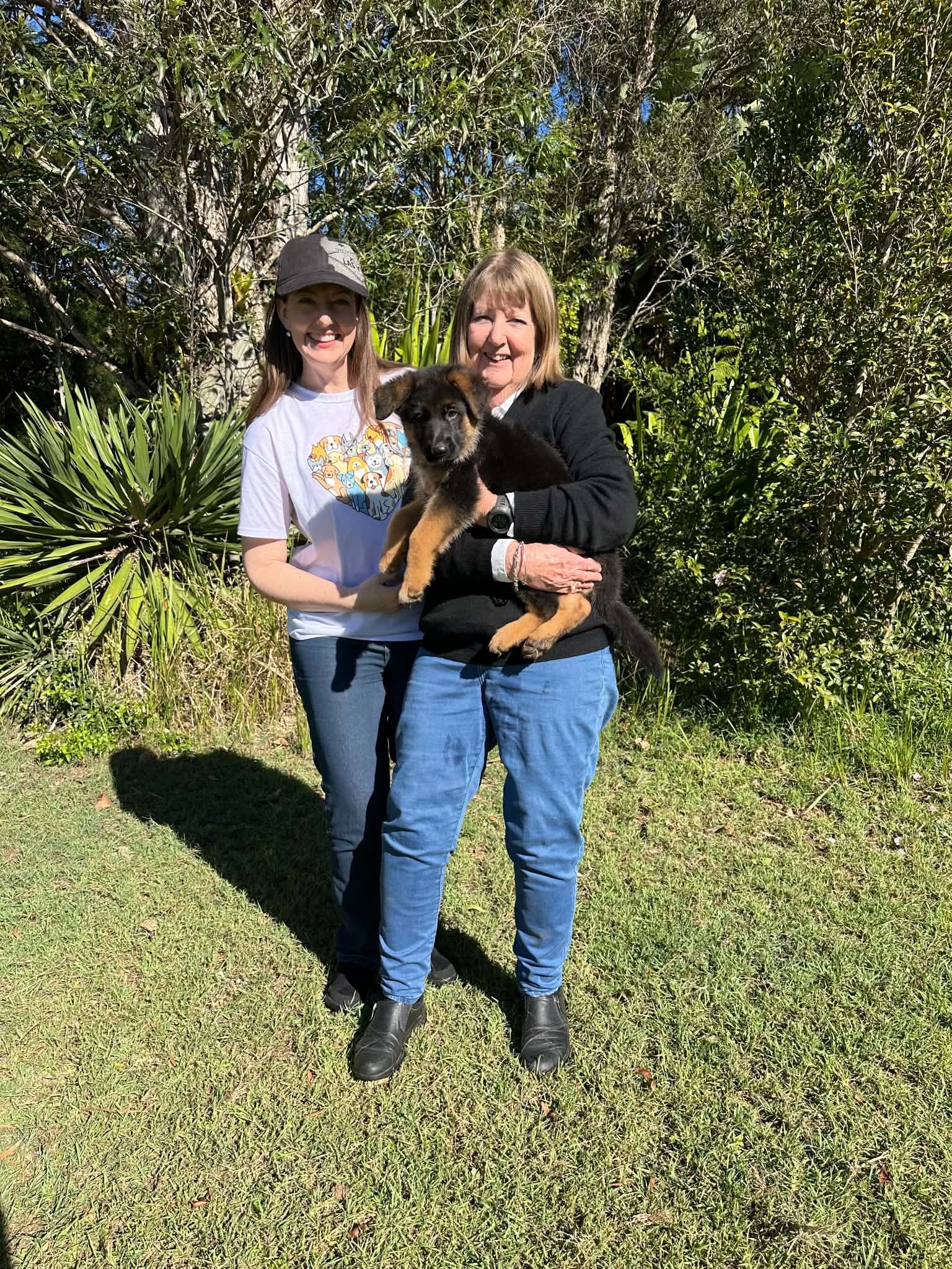 A first time Lagerfeldt puppy, green girl, staying in Inverell 