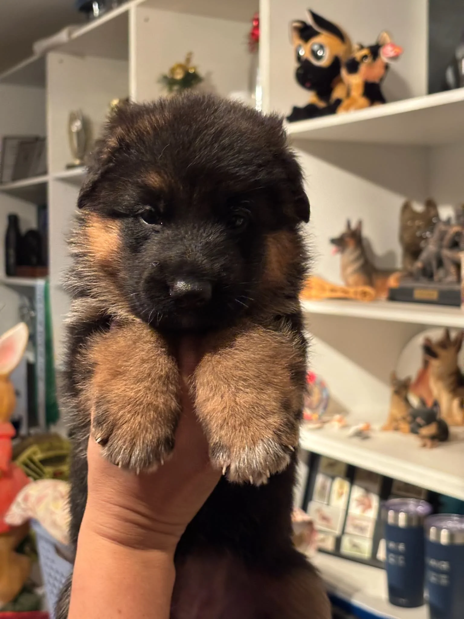 Green girl at four weeks