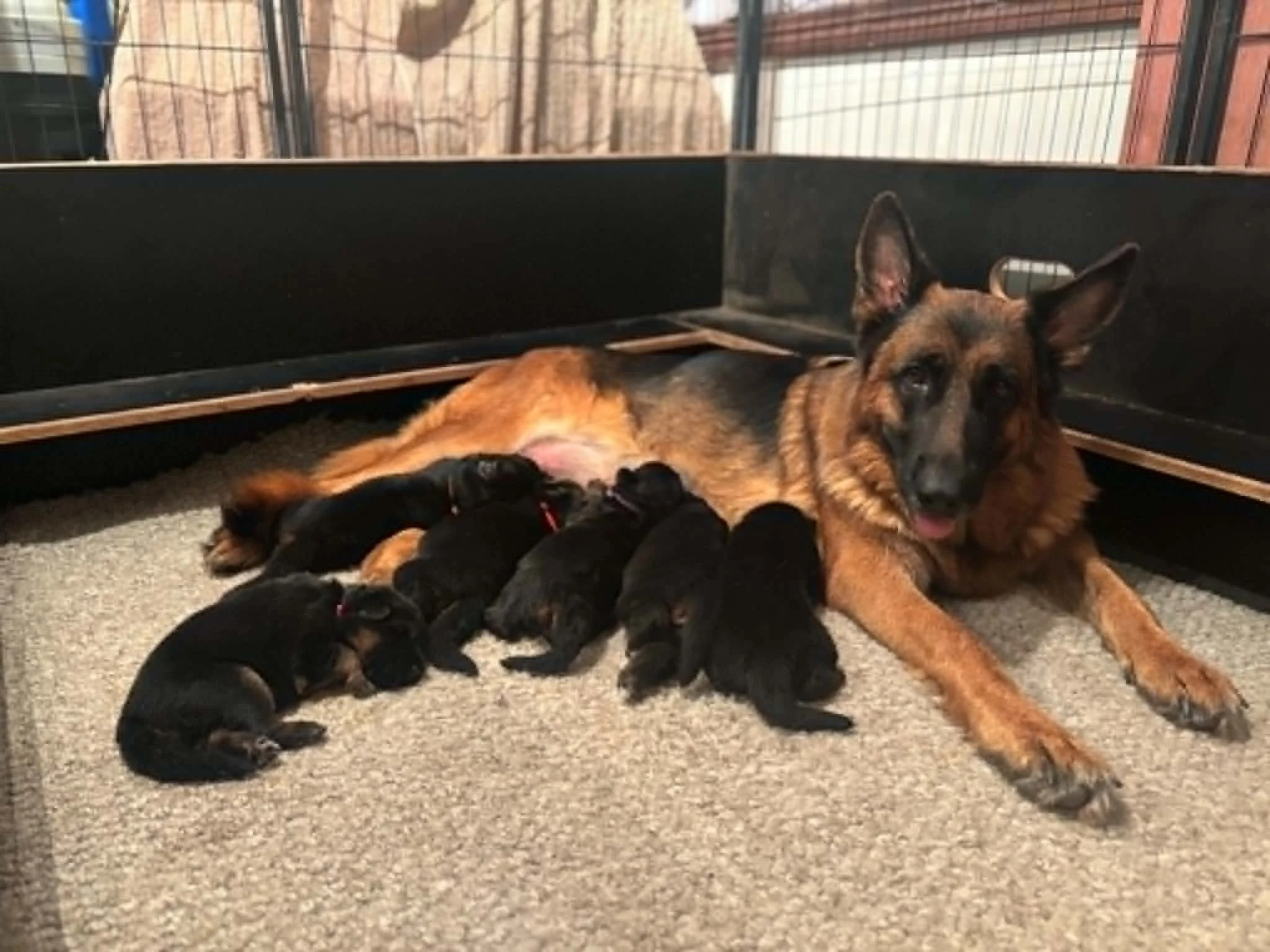 We are two weeks old