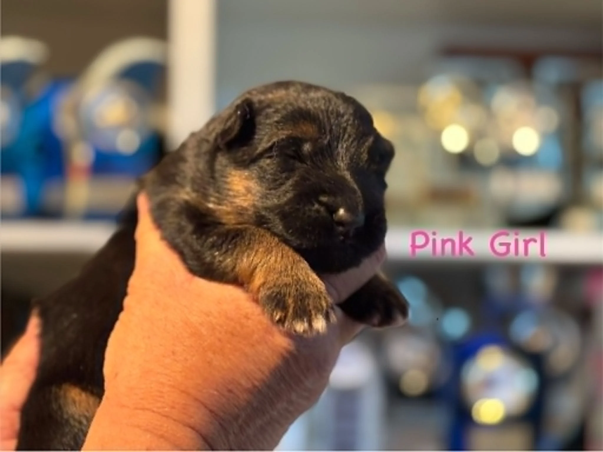 Pink girl at one week