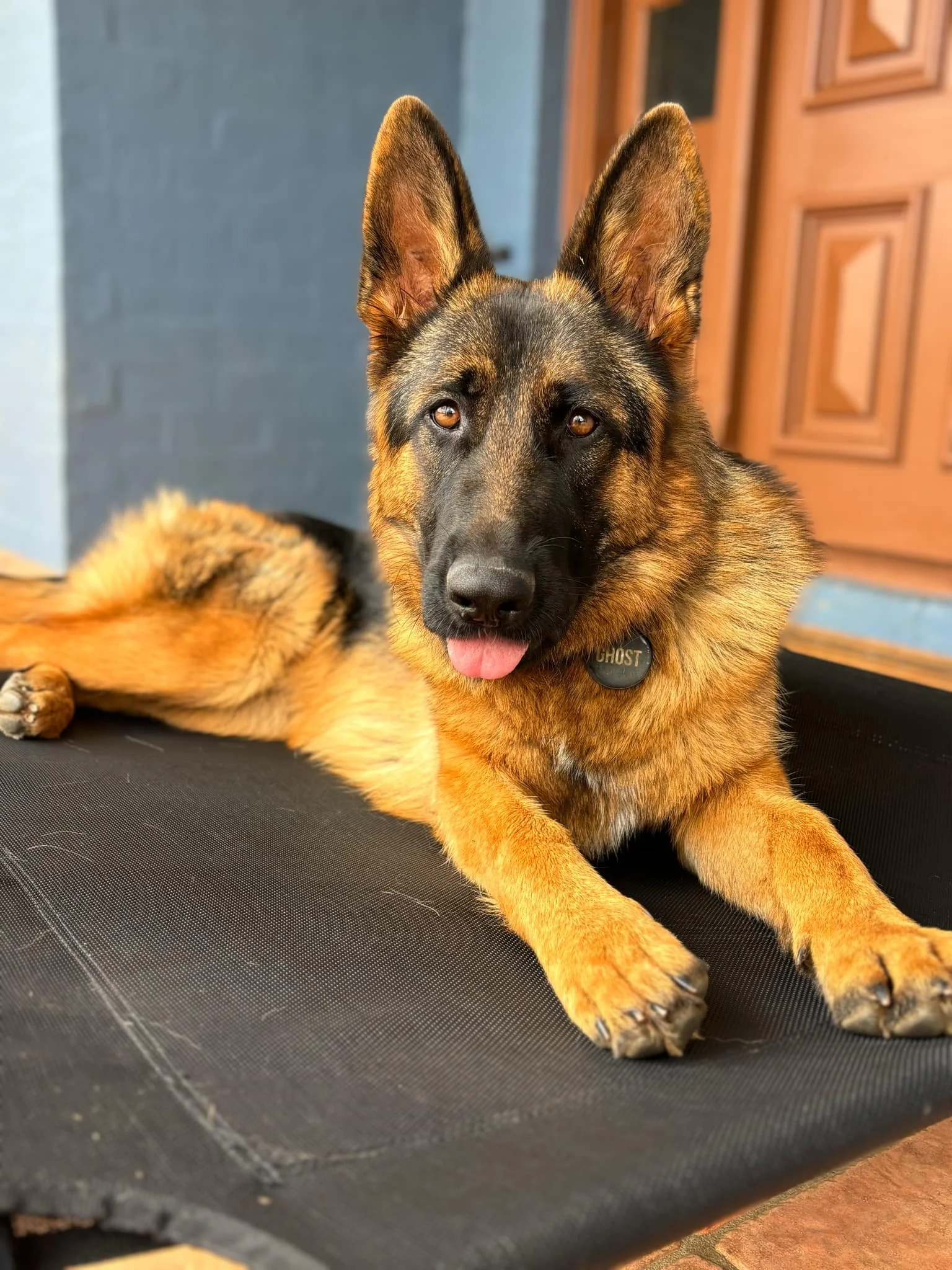 Happy New Year from Ghost 