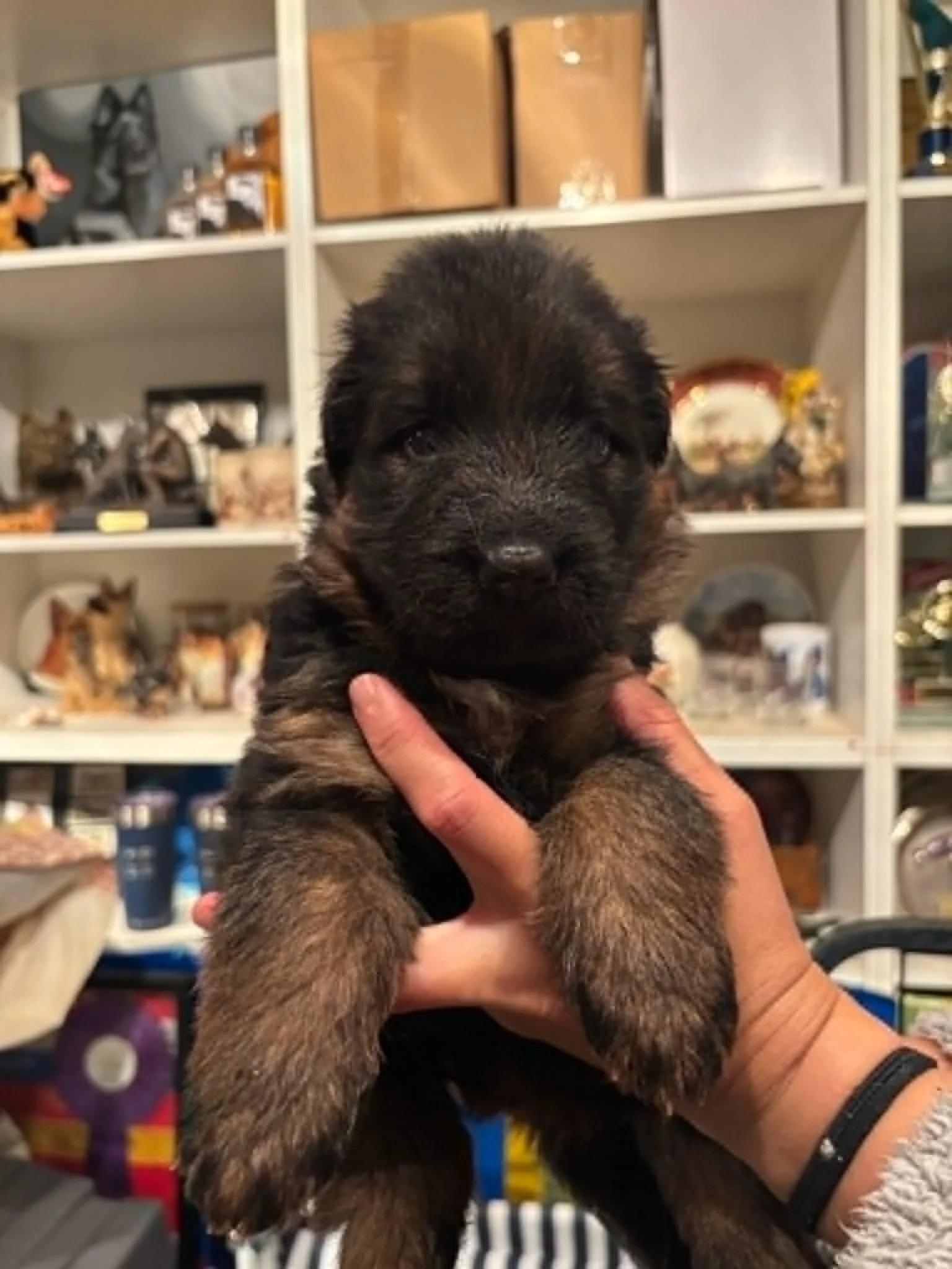 Purple girl approaching four weeks