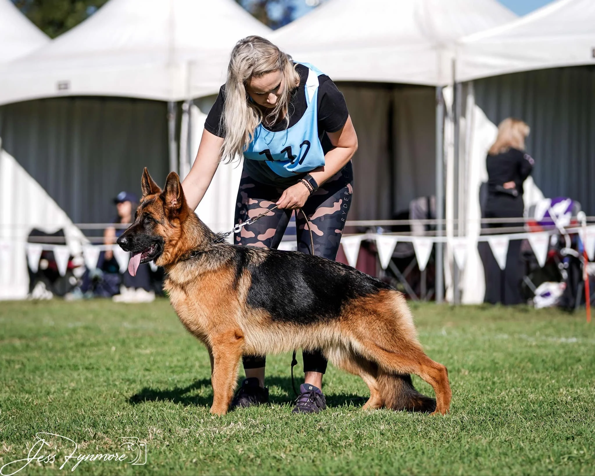 Dam: Kingland Fanja 'A' 'Z'