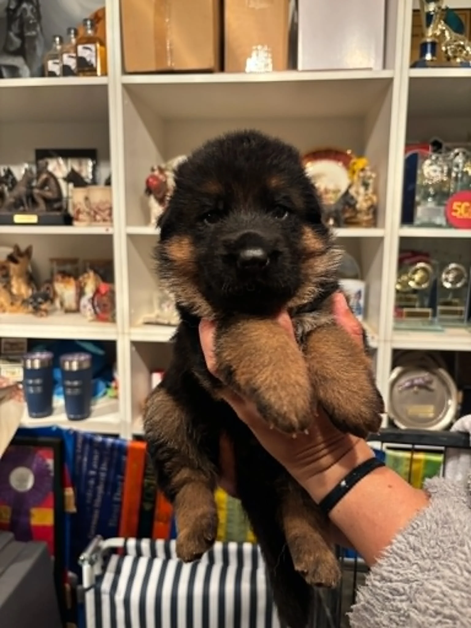 Orange girl approaching four weeks