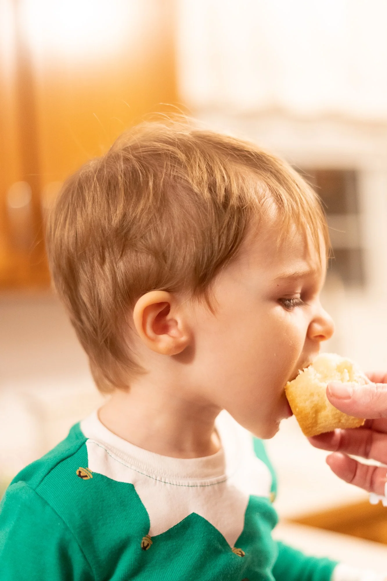 A young boy with light brown hair, wearing a green and white shirt, is eating a piece of bread or cake.
