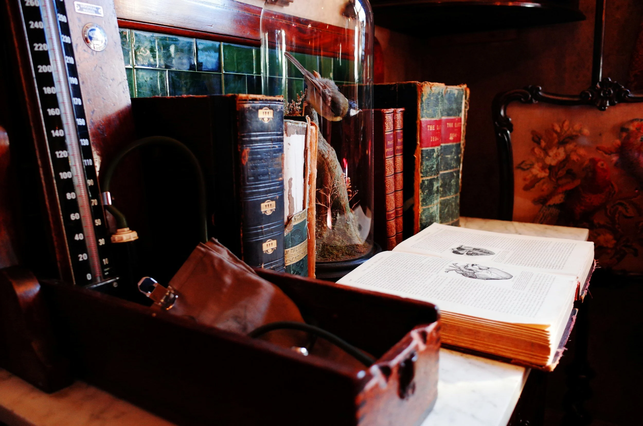 Vintage study decor with old books, an open anatomical book, a taxidermy bird in a glass dome, and a vintage blood pressure monitor.
