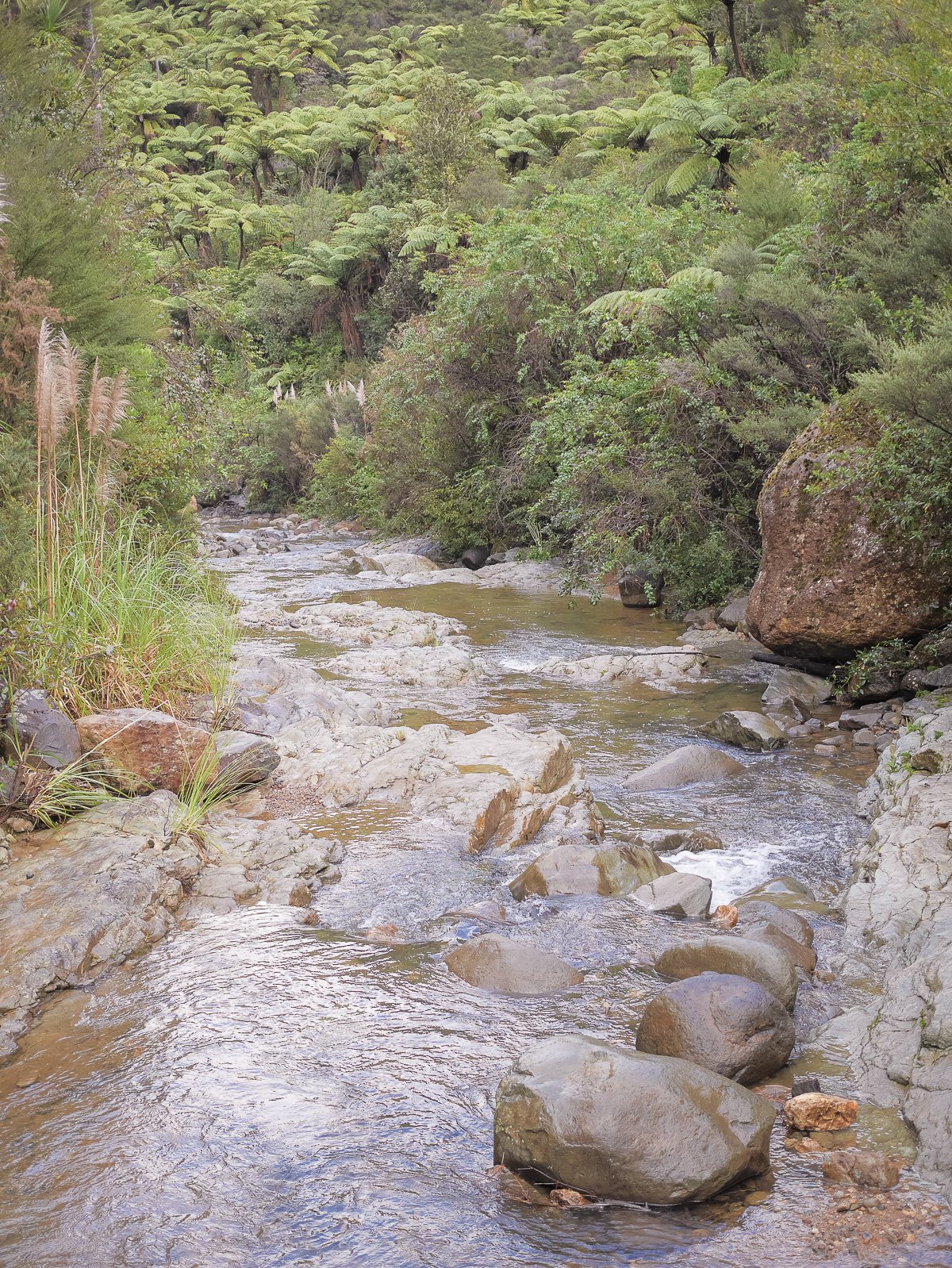 Coromandel Retreat-1080210.JPG