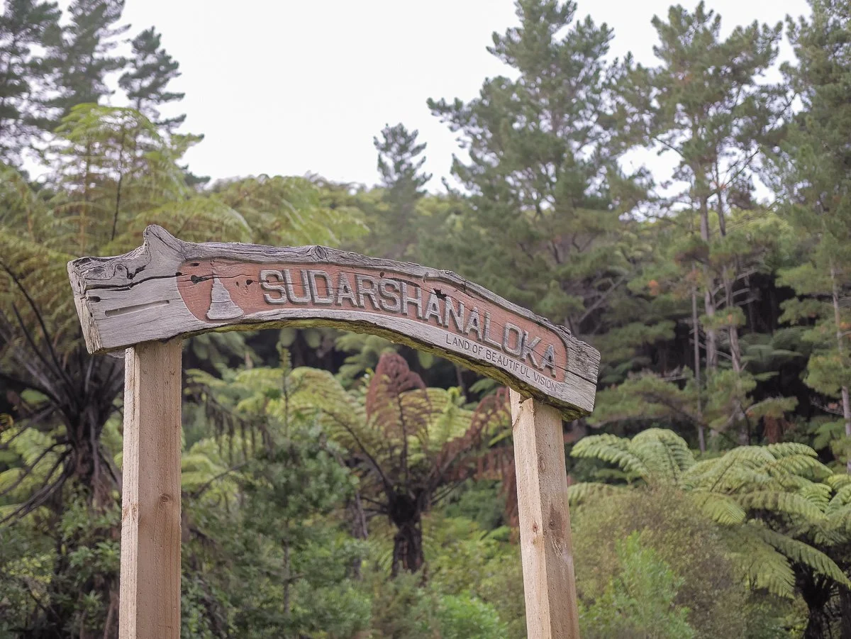 Coromandel Retreat-1080219.JPG