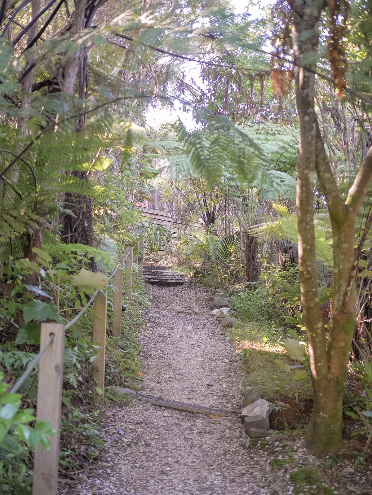 Coromandel Retreat-1080225.JPG