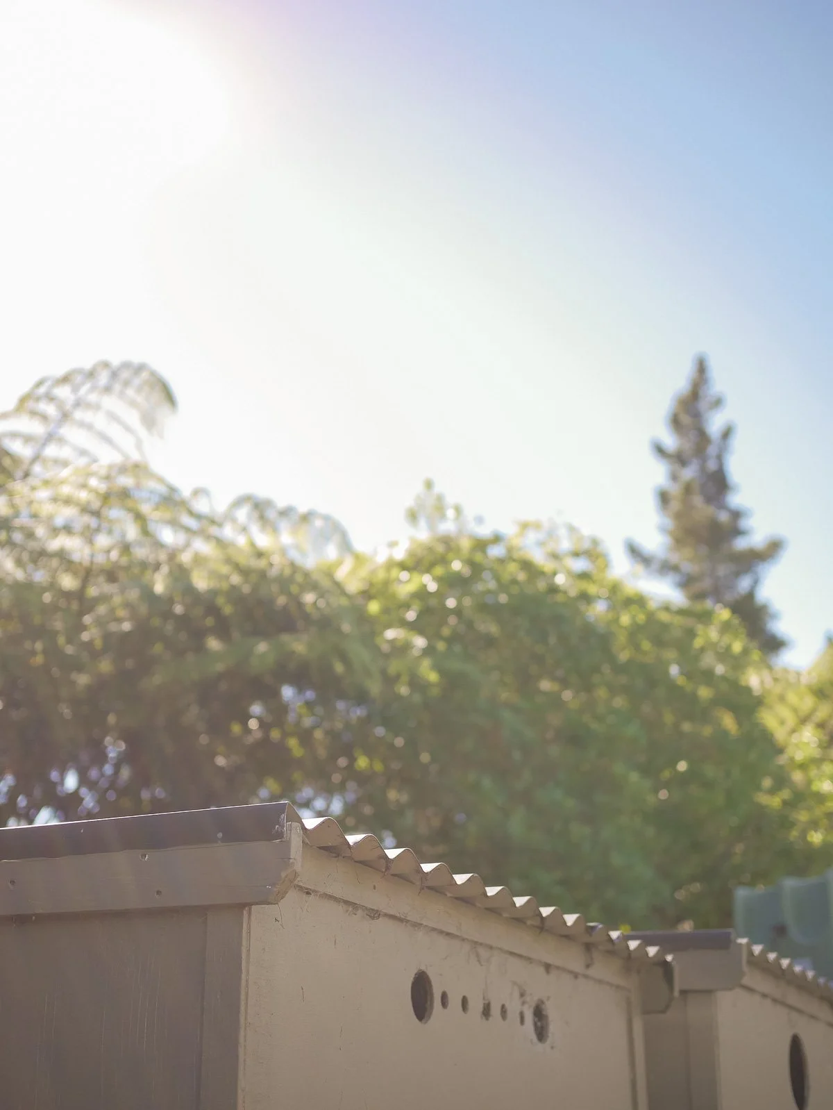 Coromandel Retreat-1080256.JPG