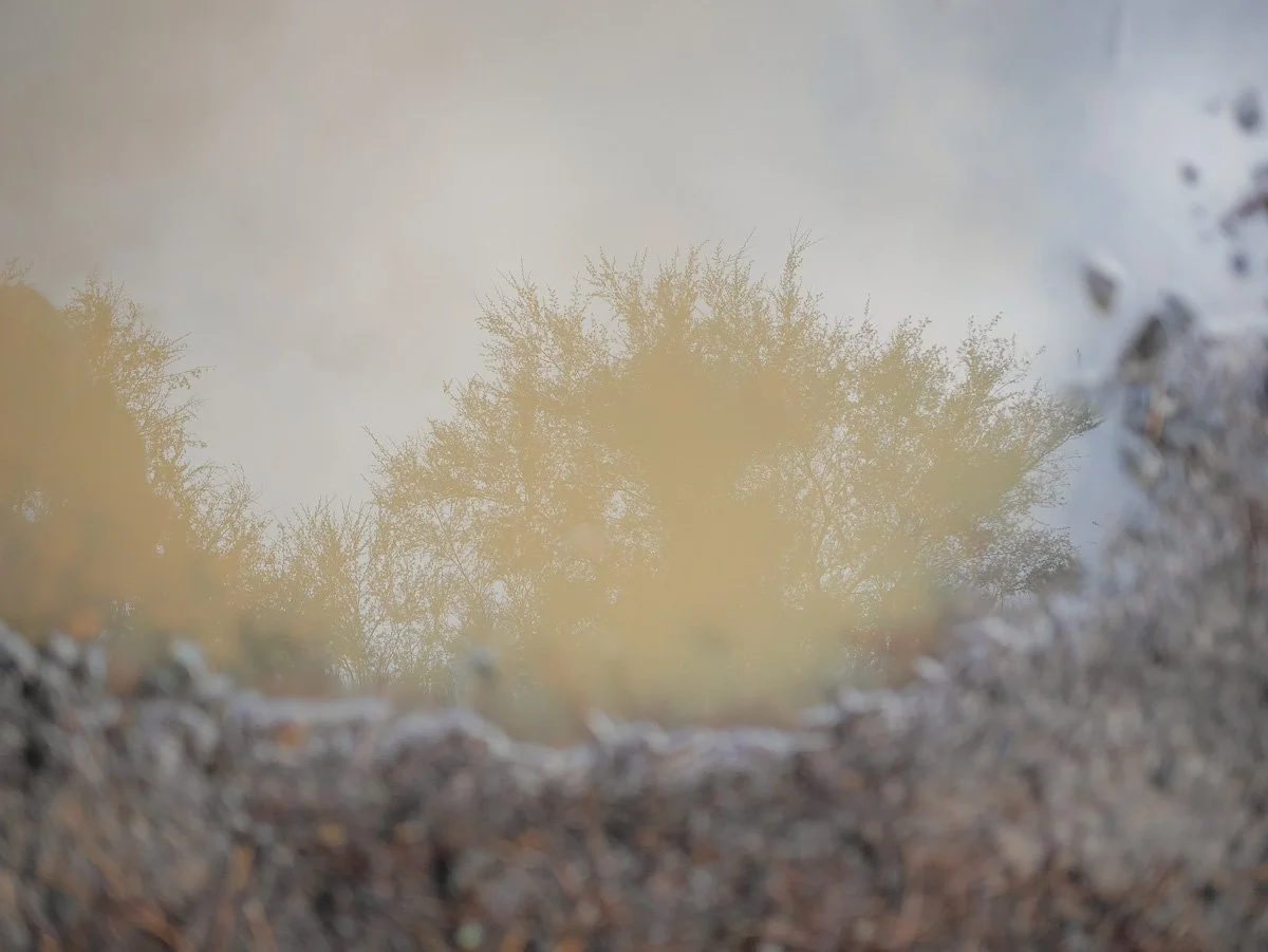 Coromandel Retreat-1080205.JPG