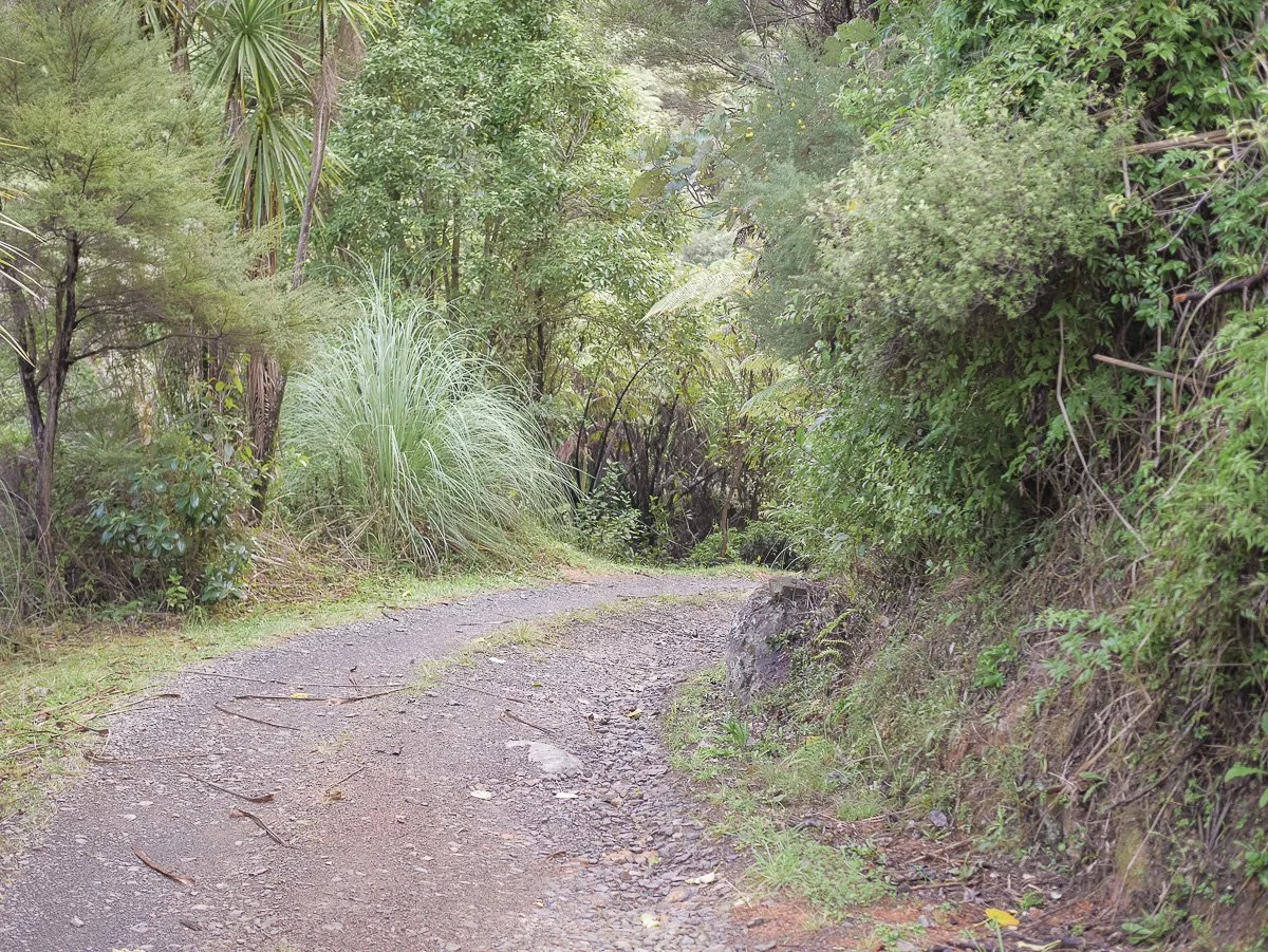 Coromandel Retreat-1080197.JPG