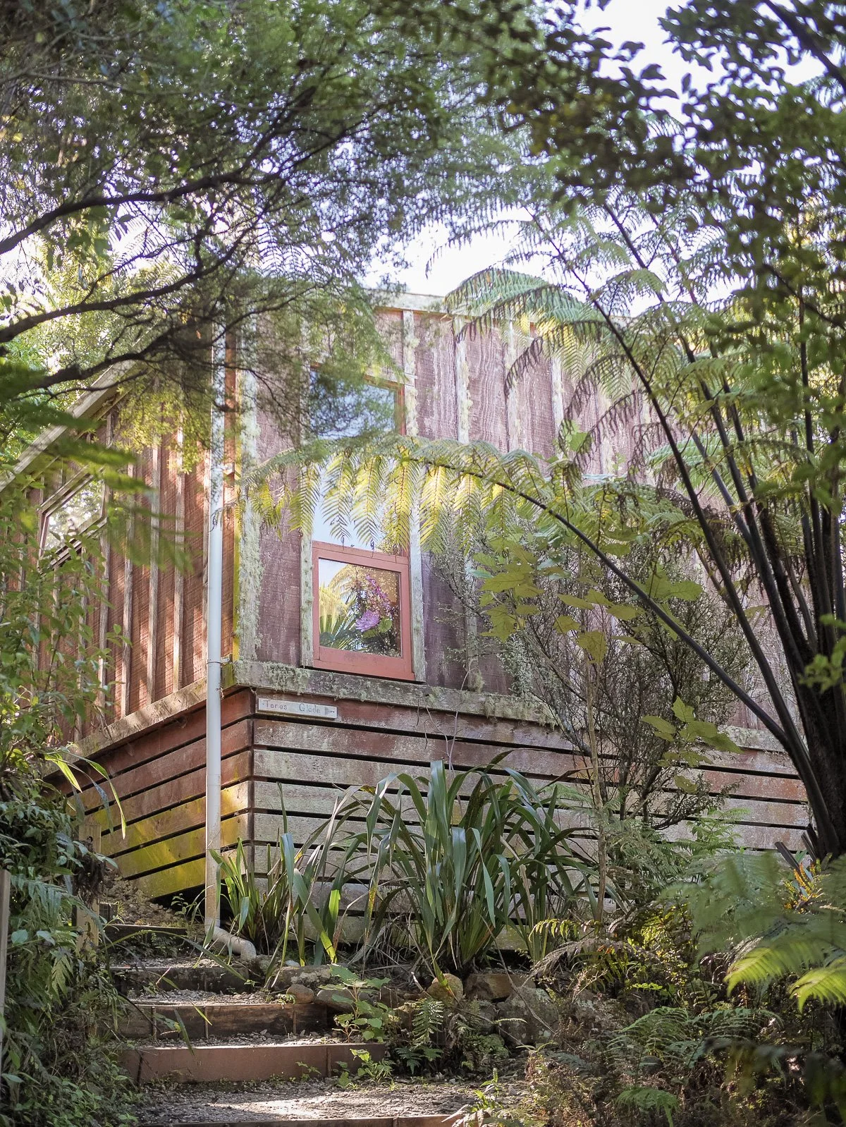 Coromandel Retreat-1080226.JPG