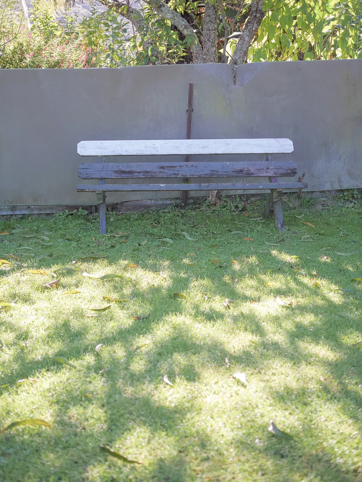 Coromandel Retreat-1080238.JPG