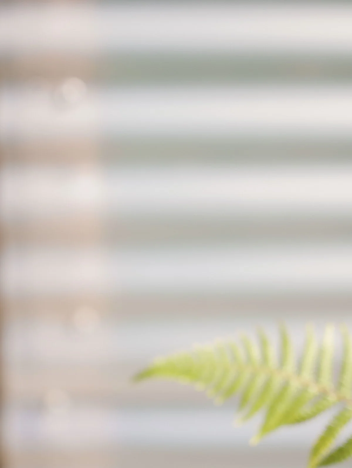 Coromandel Retreat-1080261.JPG