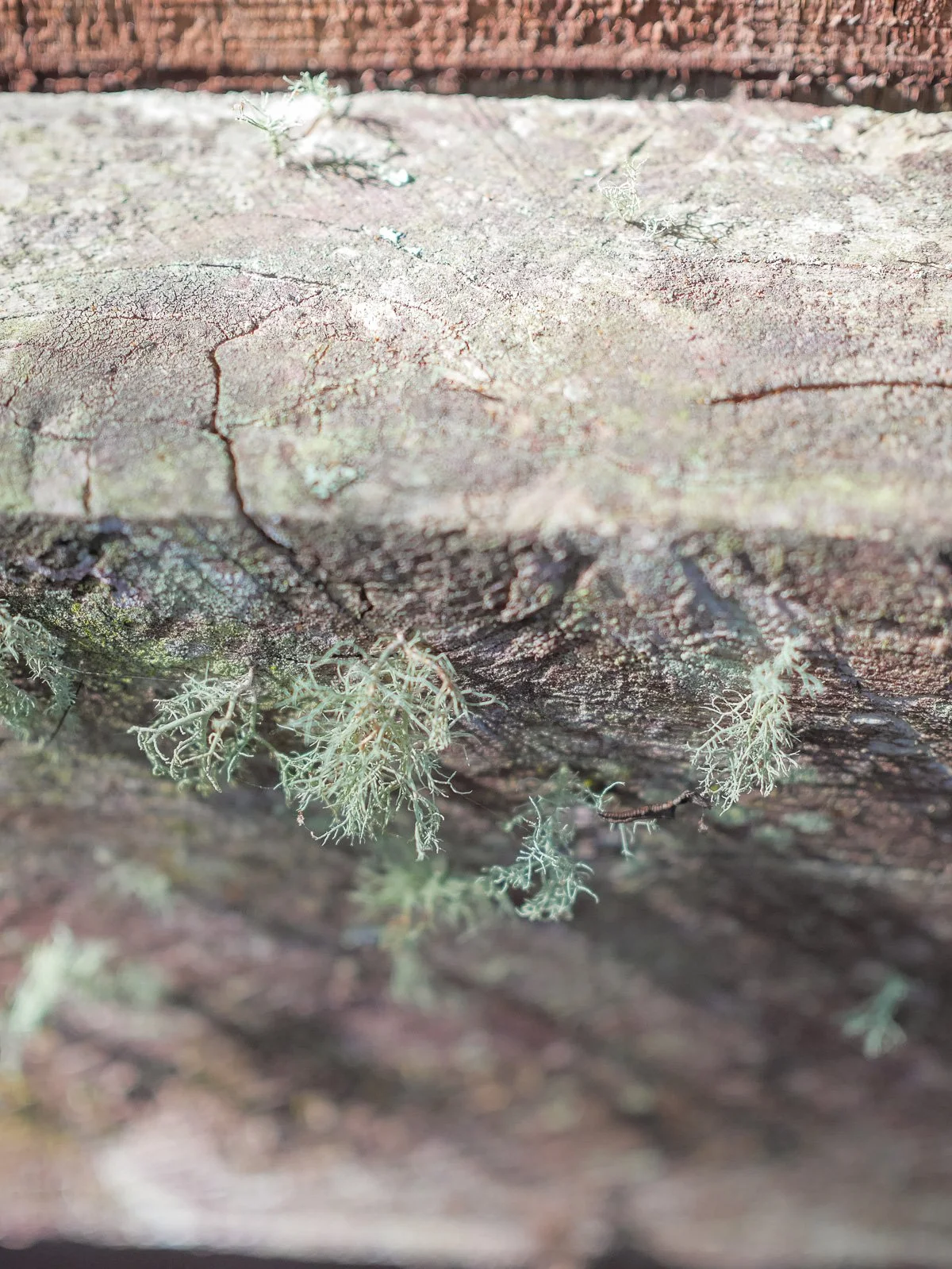 Coromandel Retreat-1080232.JPG