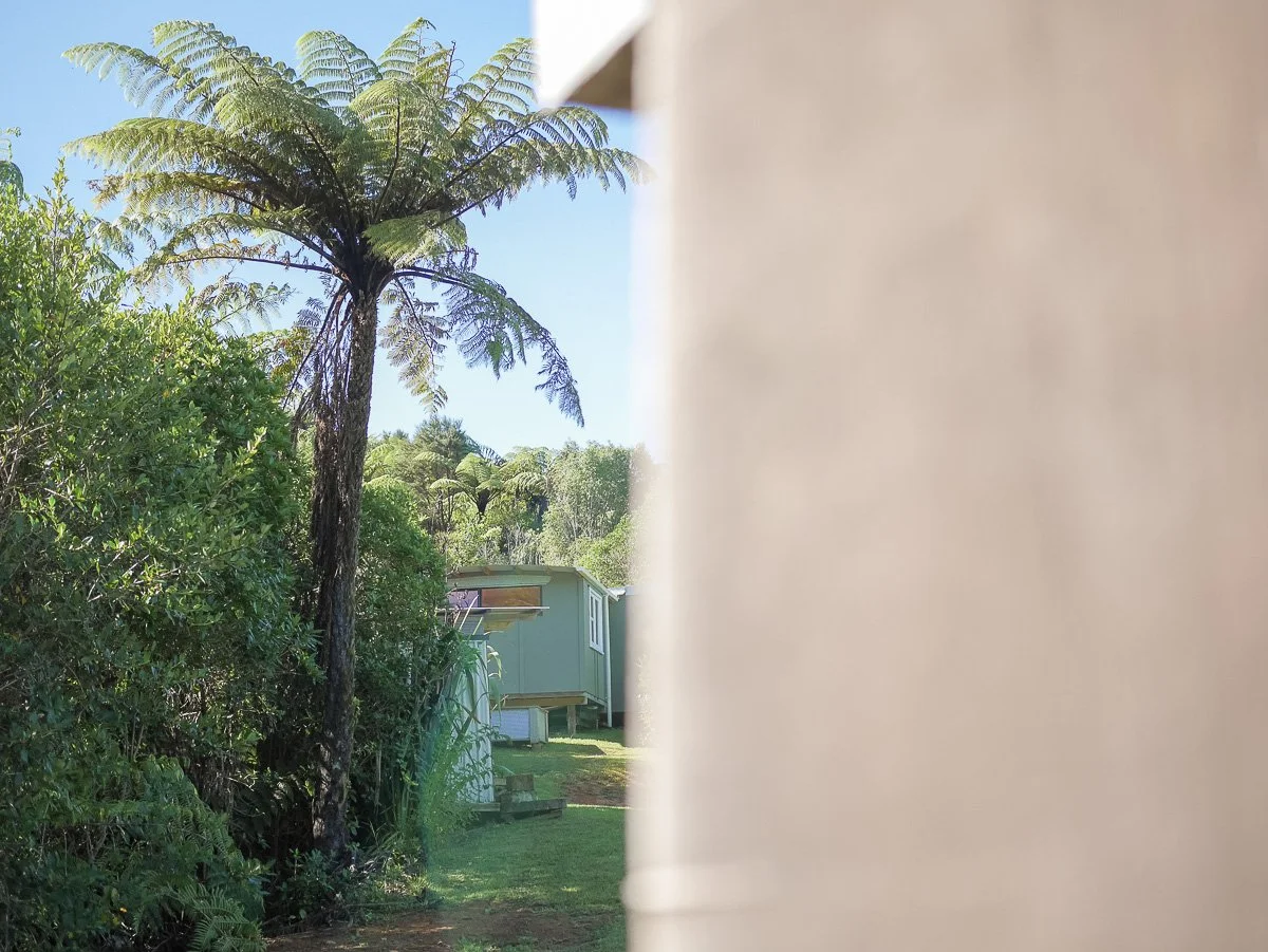 Coromandel Retreat-1080259.JPG