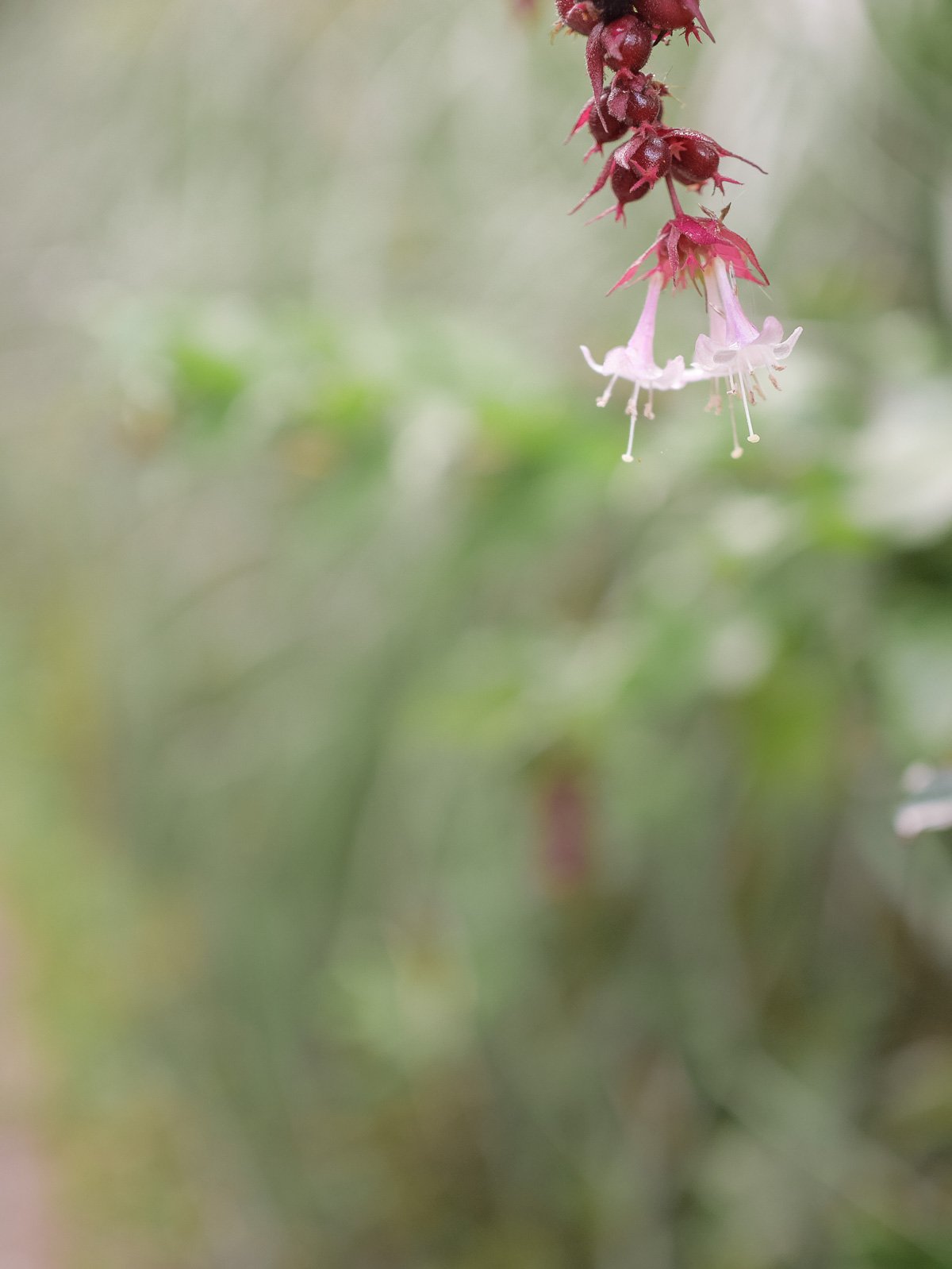 Coromandel Retreat-1080215.JPG