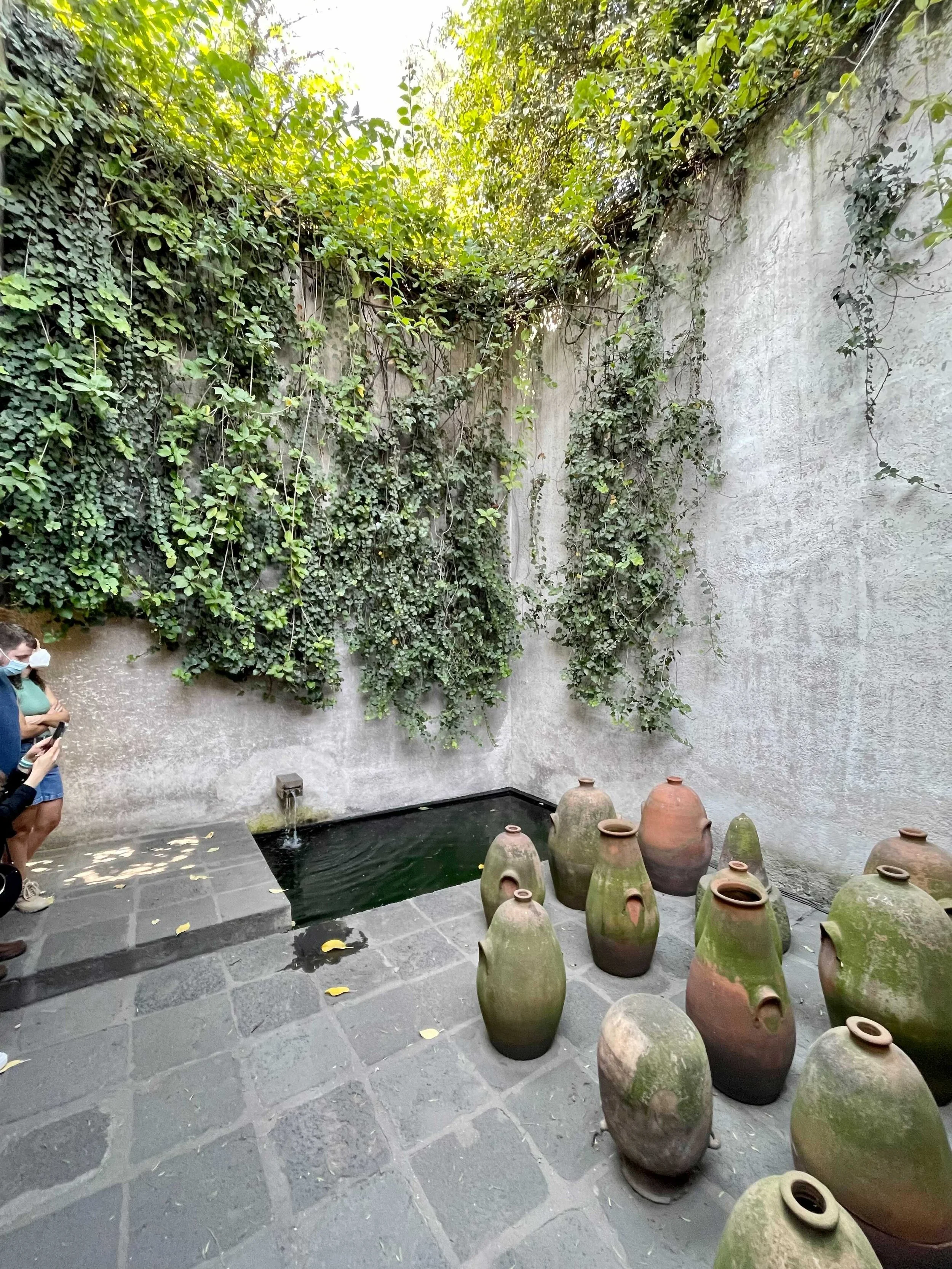 Image from iOS (5).jpg