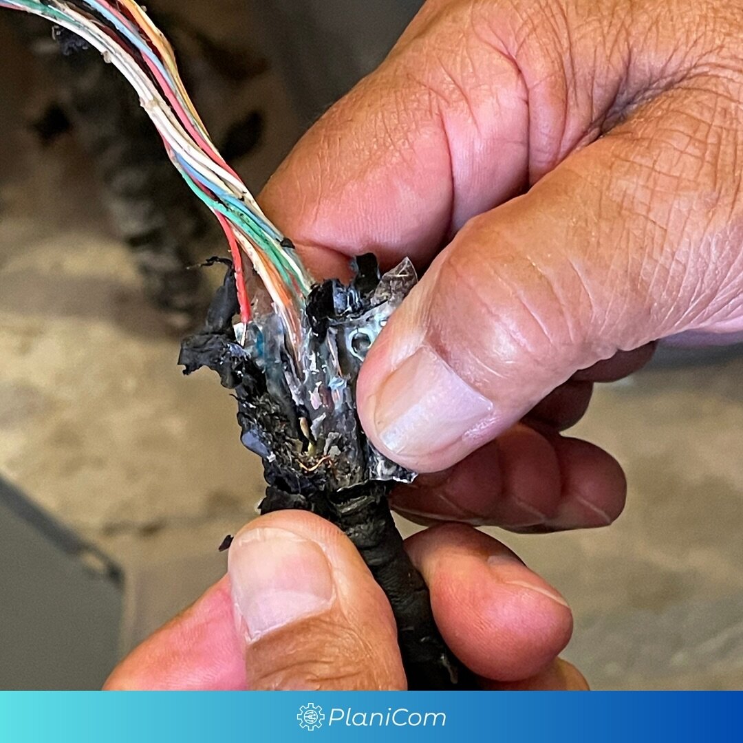 This is what can happen when a telephone cable is improperly grounded. The cable started to melt due to an increased amount of power from a runoff coax line nearby. 

#telecommunications #telephonecable