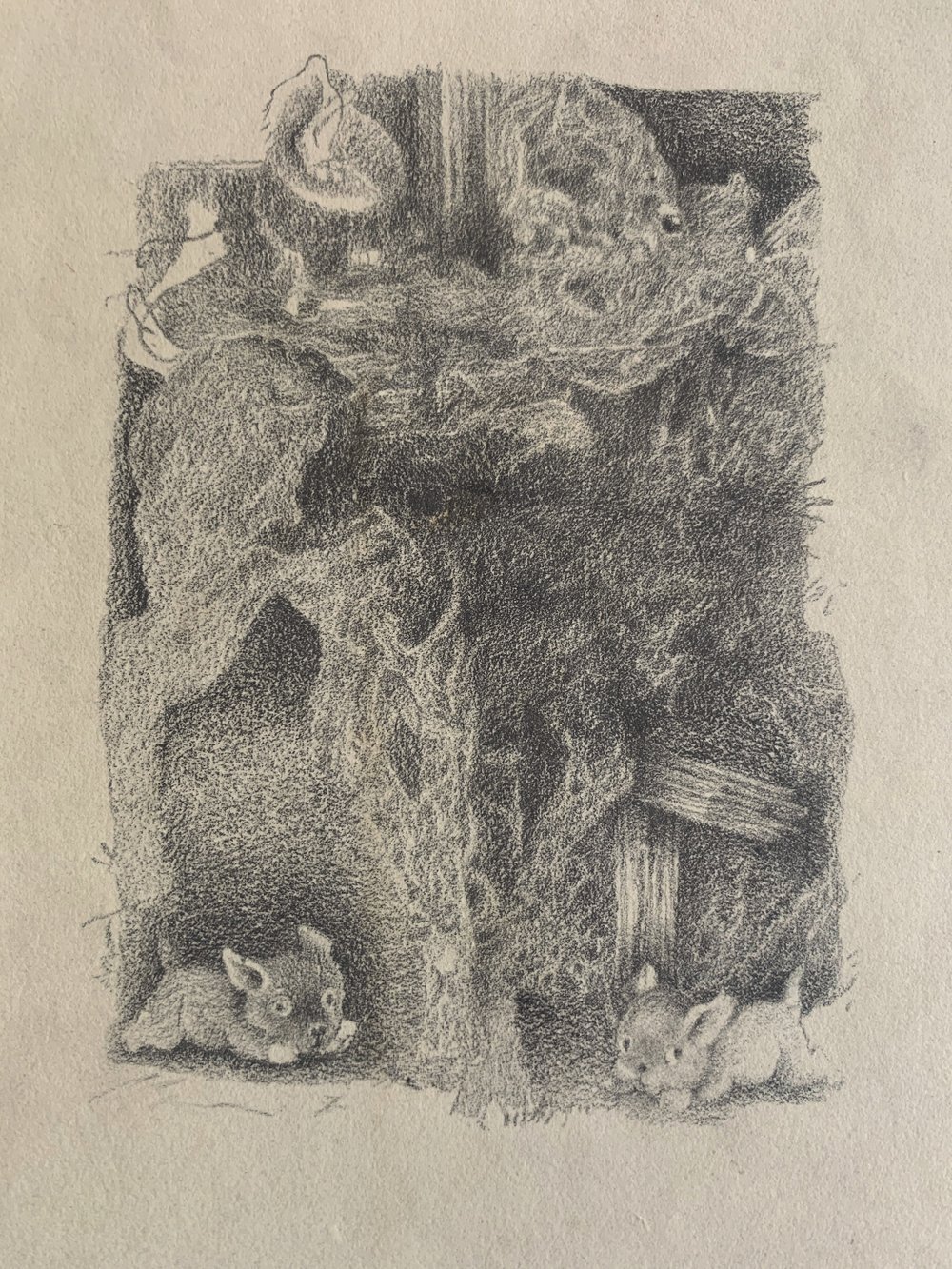 untitled 2021 pencil on paper 11 x 8 ins