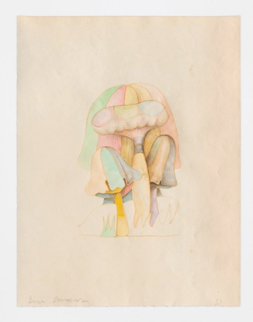 shrooms 2021 watercolour on paper 11 x 8 ins
