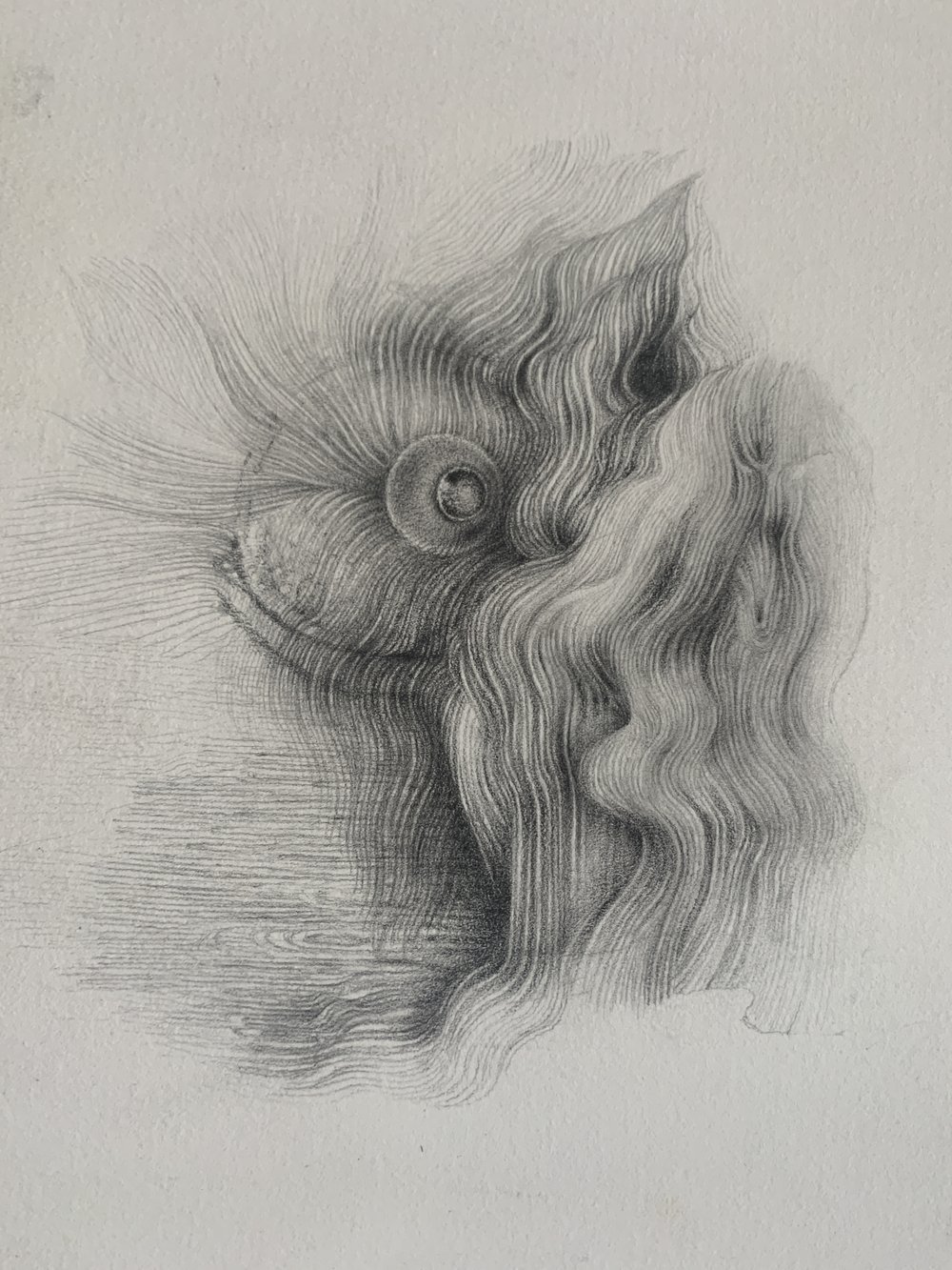 lockdown drawing 4 pencil on paper 10 x 7 ins