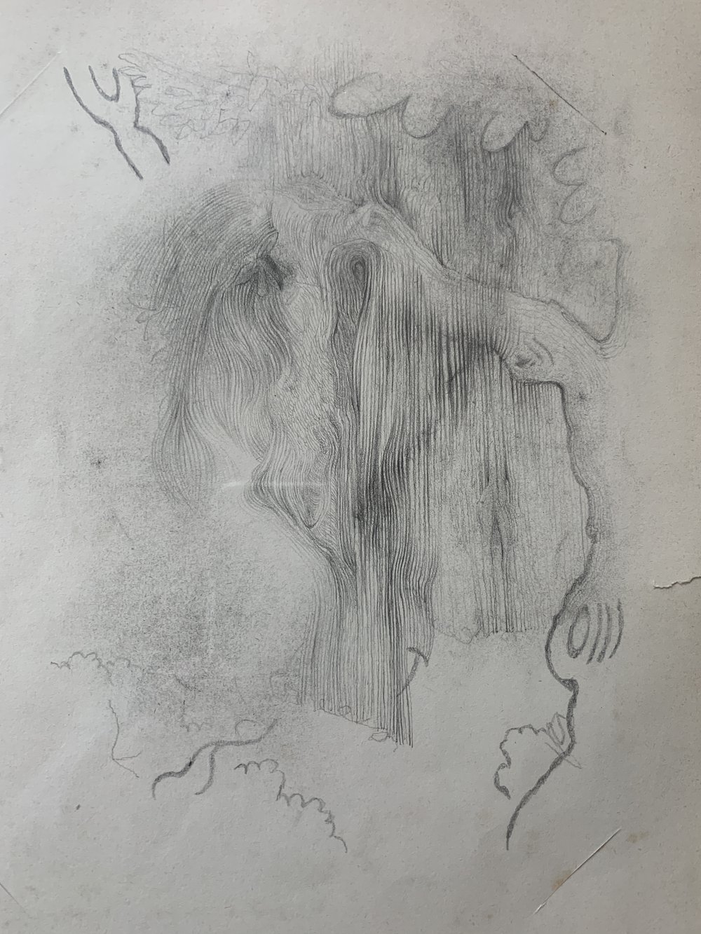 untitled 1 2000 pencil on paper 11 x 8 ins
