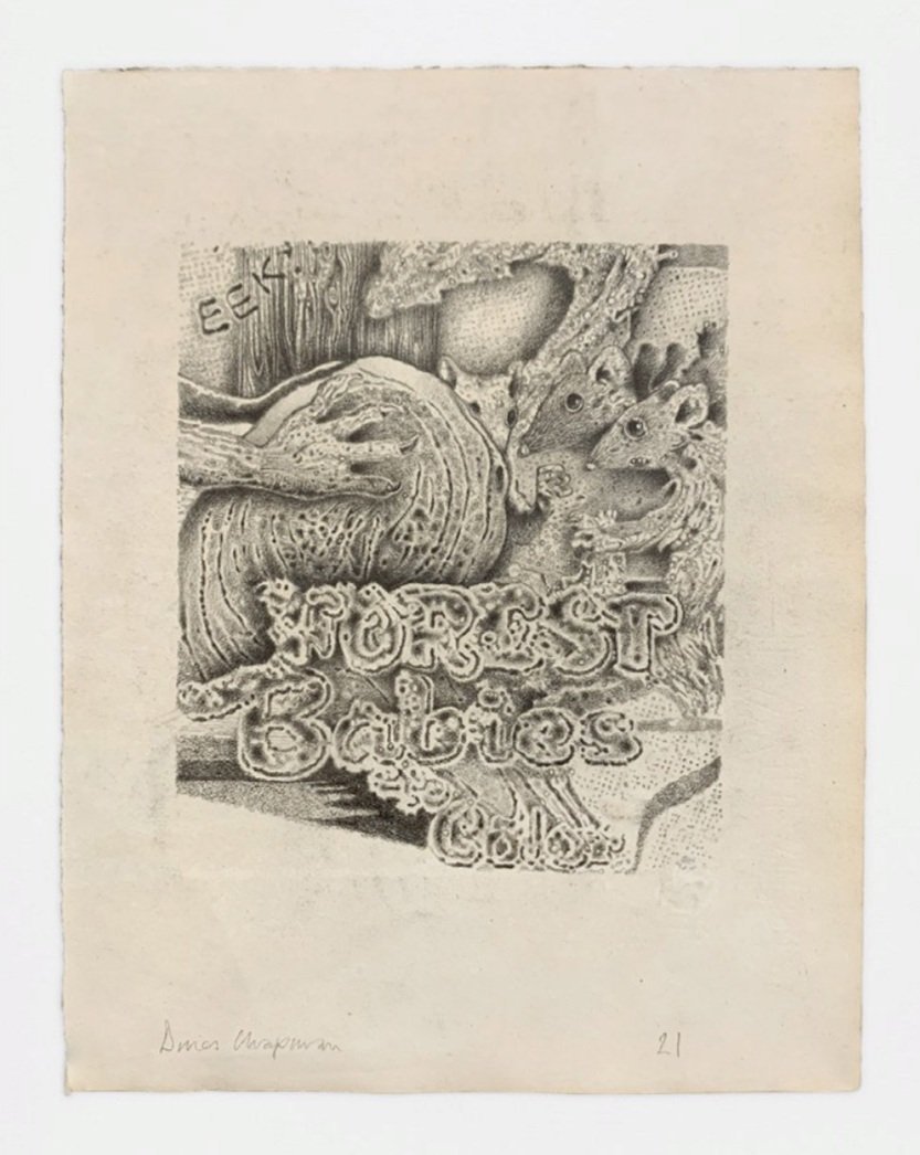 forest babies 2021 pencil on paper 11 x 8 ins