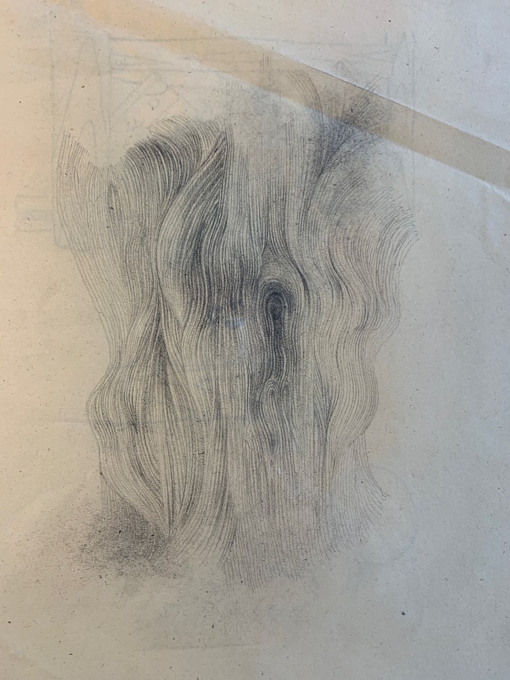 untitled 4 2000 pencil on paper 11 x 8 ins