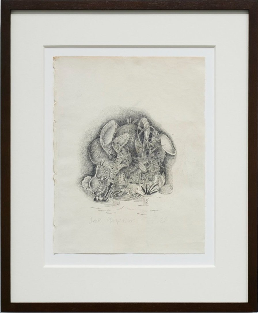 wisshing tree 2023 pencil on paper 11 x 8 ins