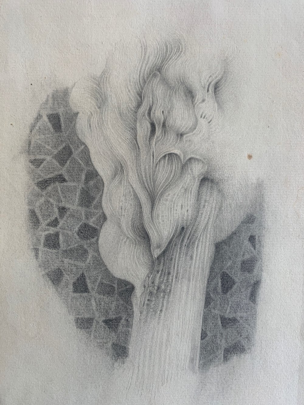 lockdown drawing 1 2020 pencil on paper 10 x 7 ins