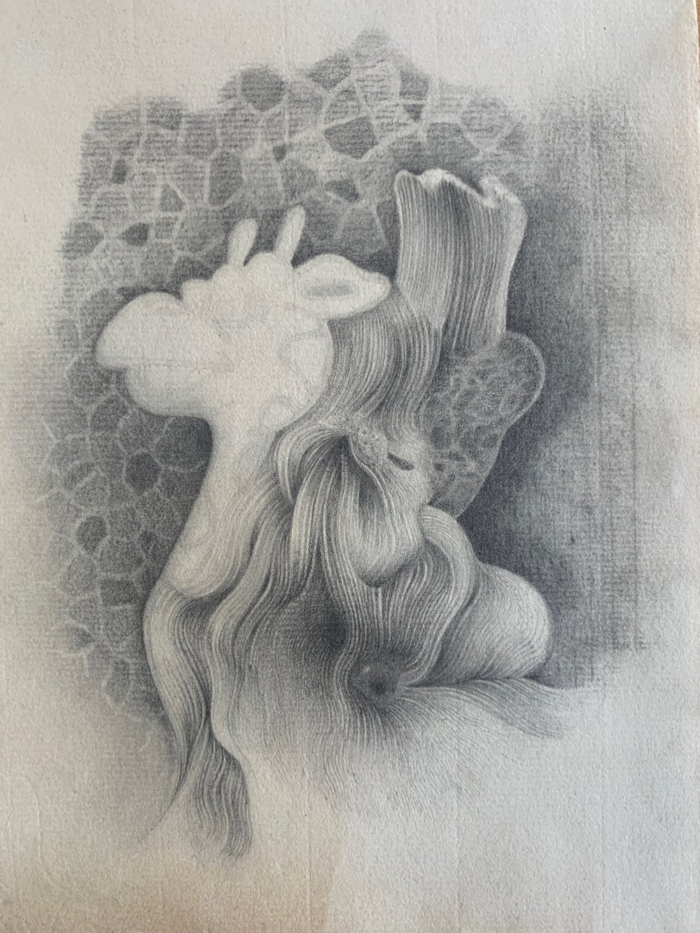 lockdown drawing 3 pencil on paper 10 x 7 ins