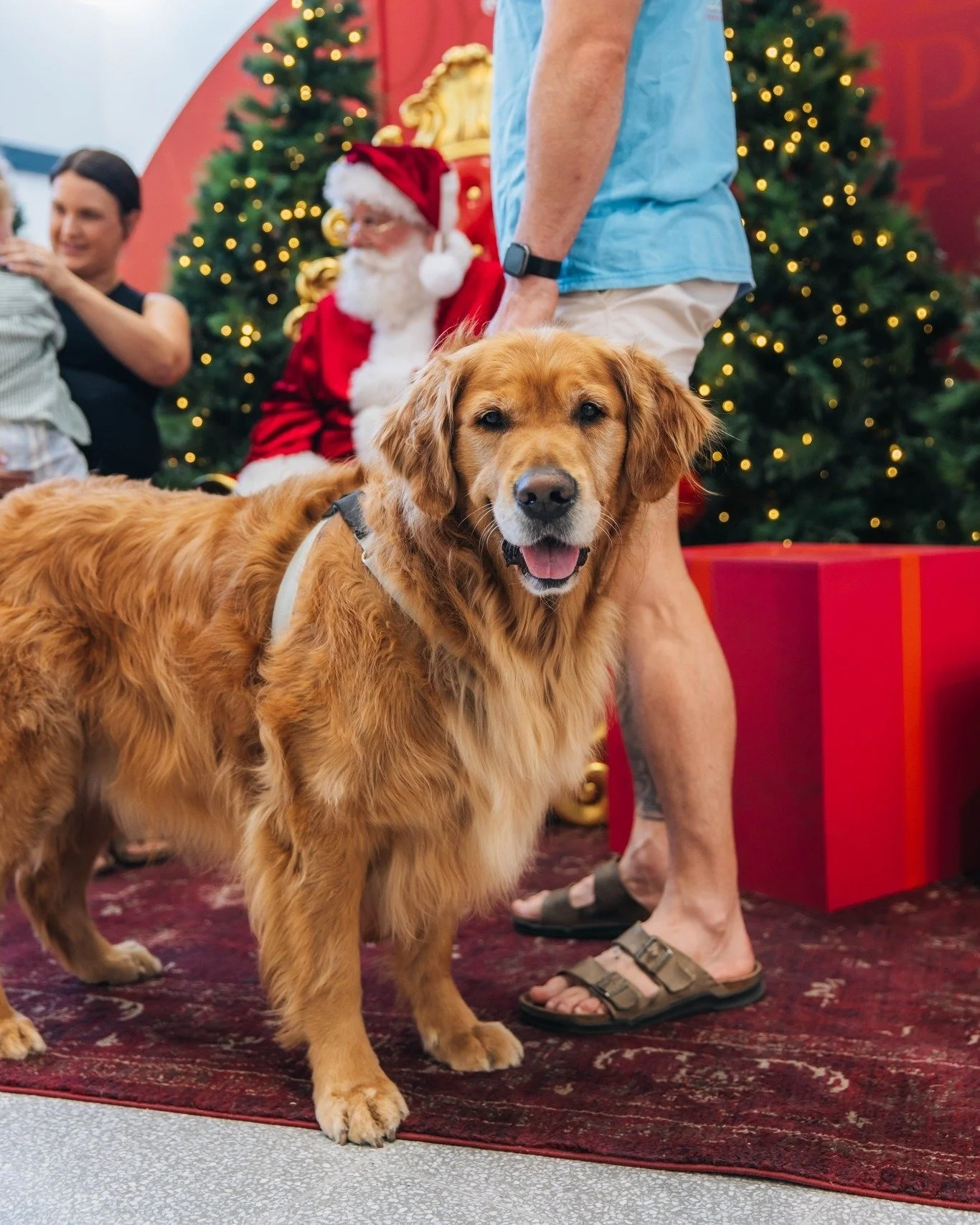 Merry Christmas from Brickworks Marketplace!

Thank you to all the friends, family, and community who joined us in celebrating this special season. We are thankful for the joy, hope, and love that Christmas brings.

Wishing you and your loved ones a 