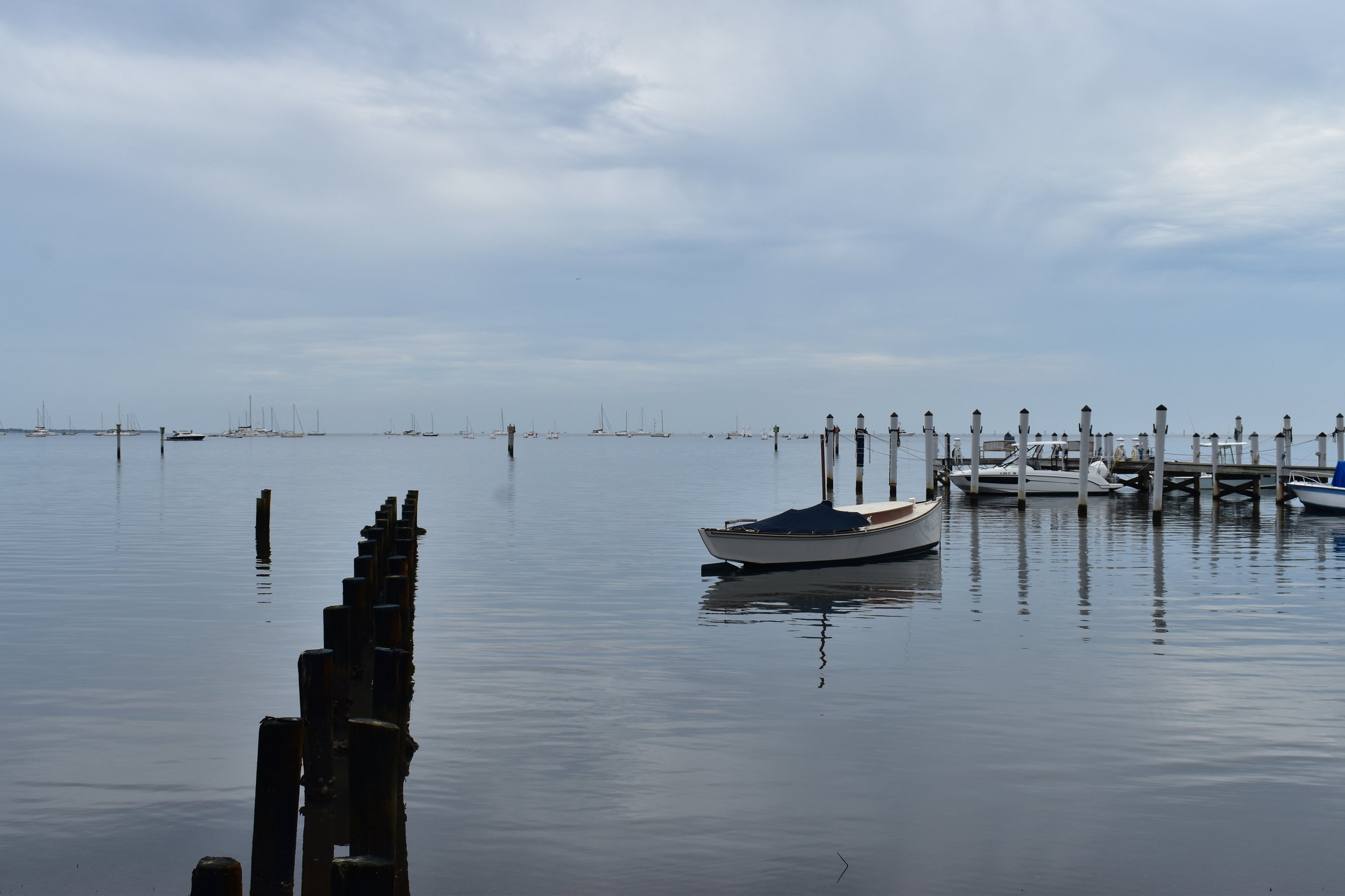 DSC_3802.JPG